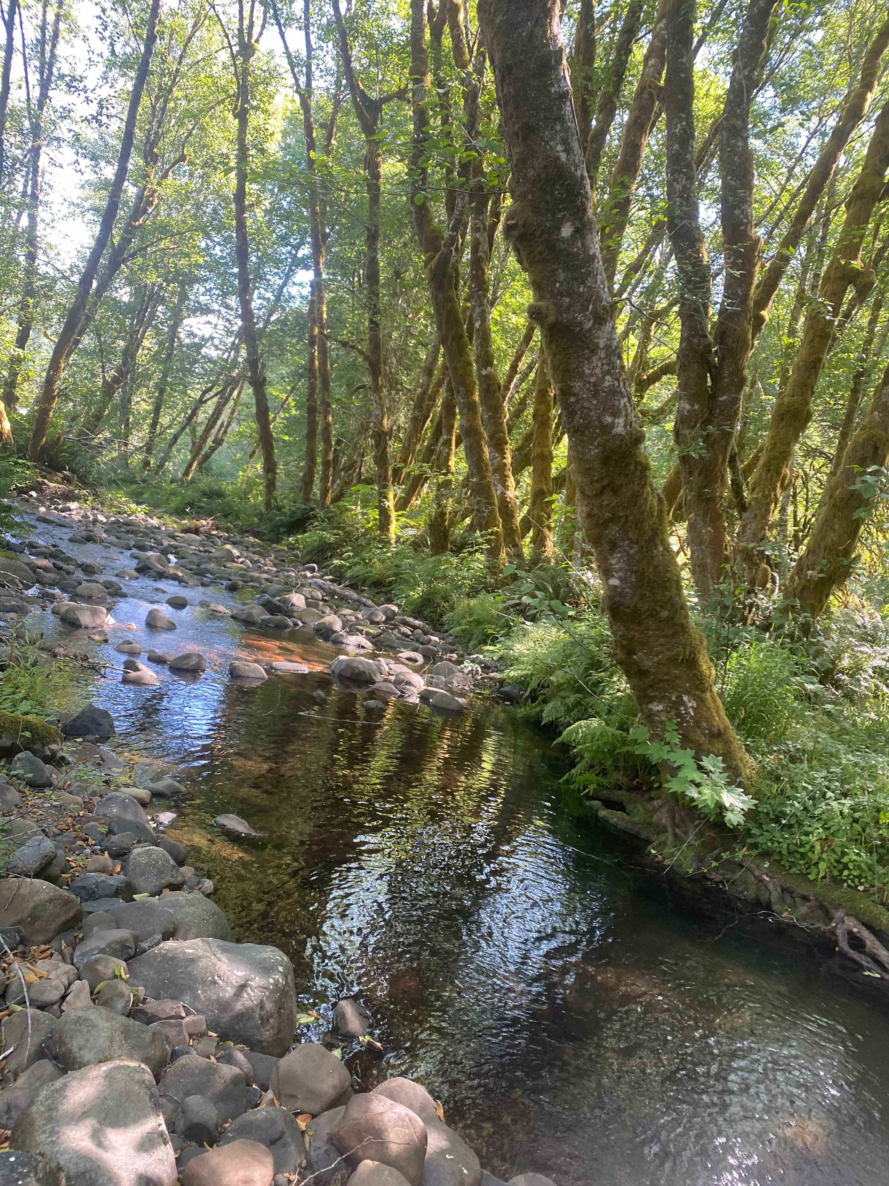 Powder Creek Campground