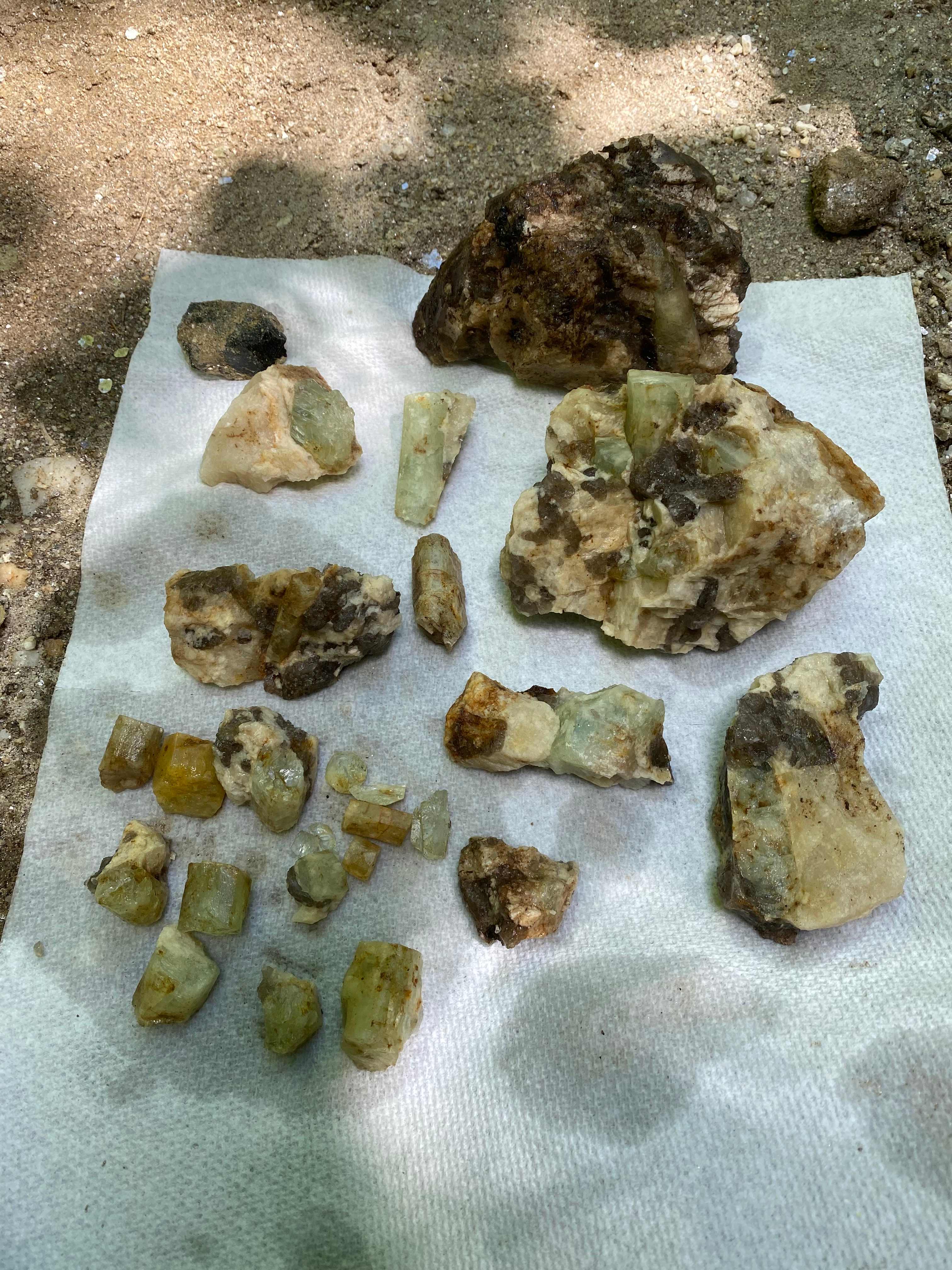 The finds!  Lots of beryl and some gemmy aquamarine bits!