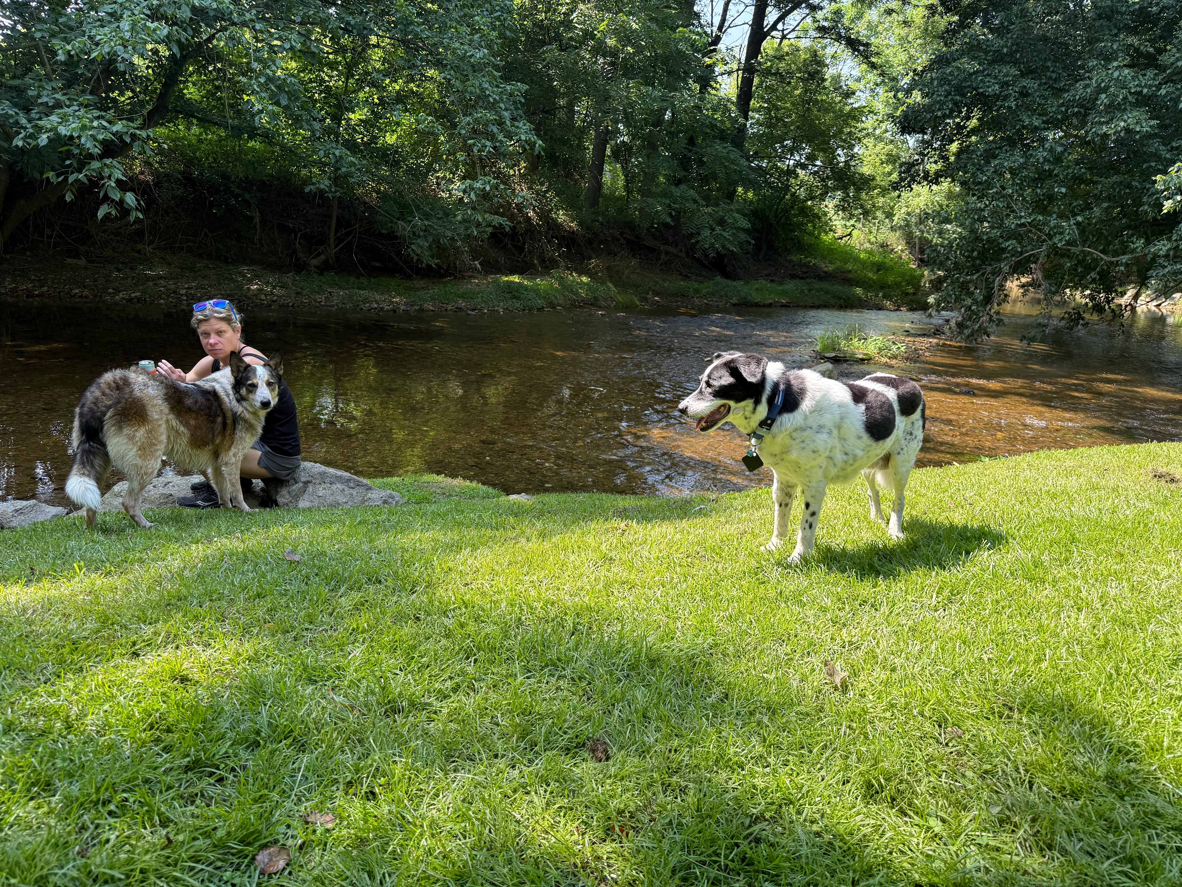 Conowingo Creek Campsite
