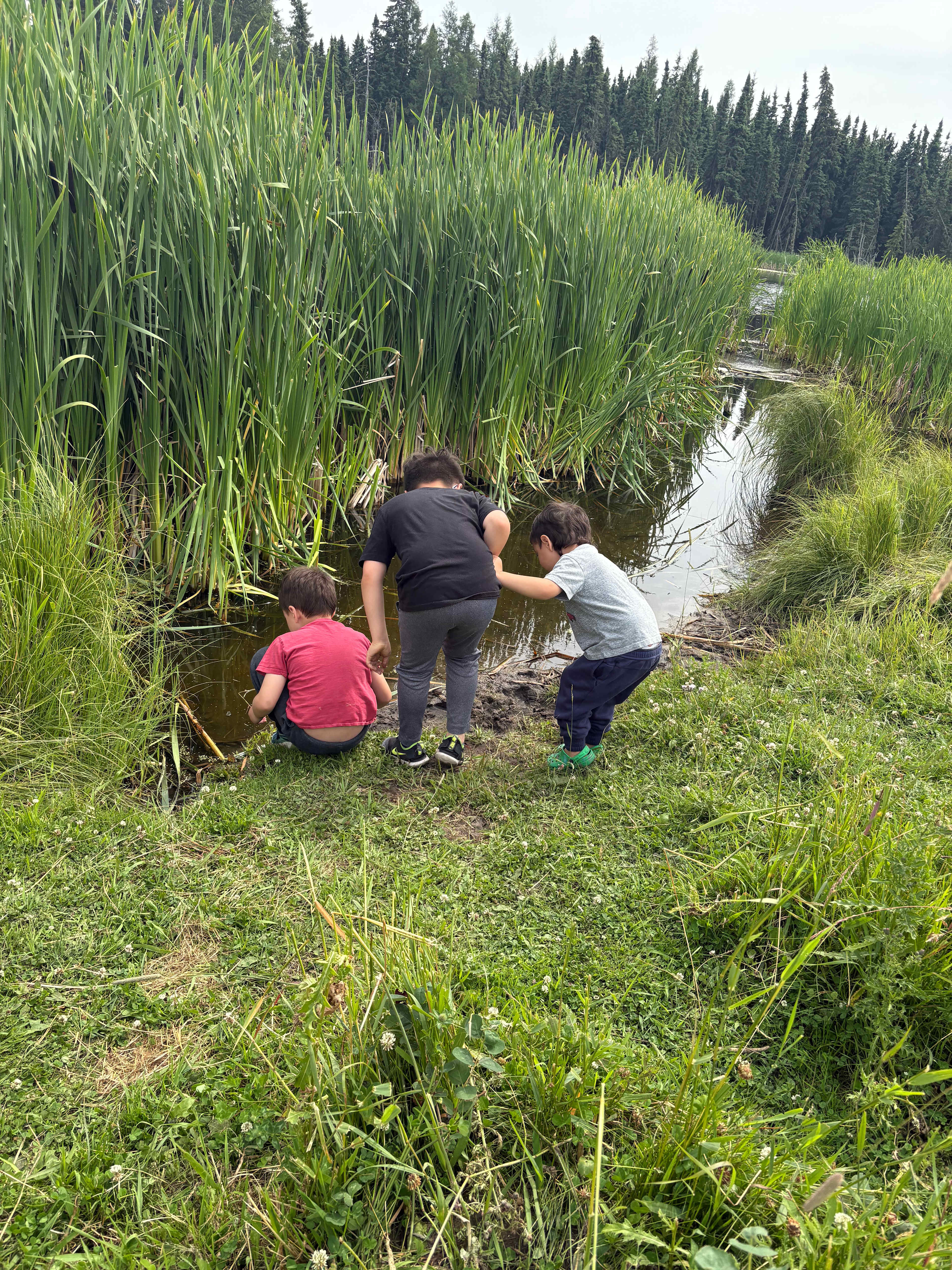 Sterando Acres Glamping