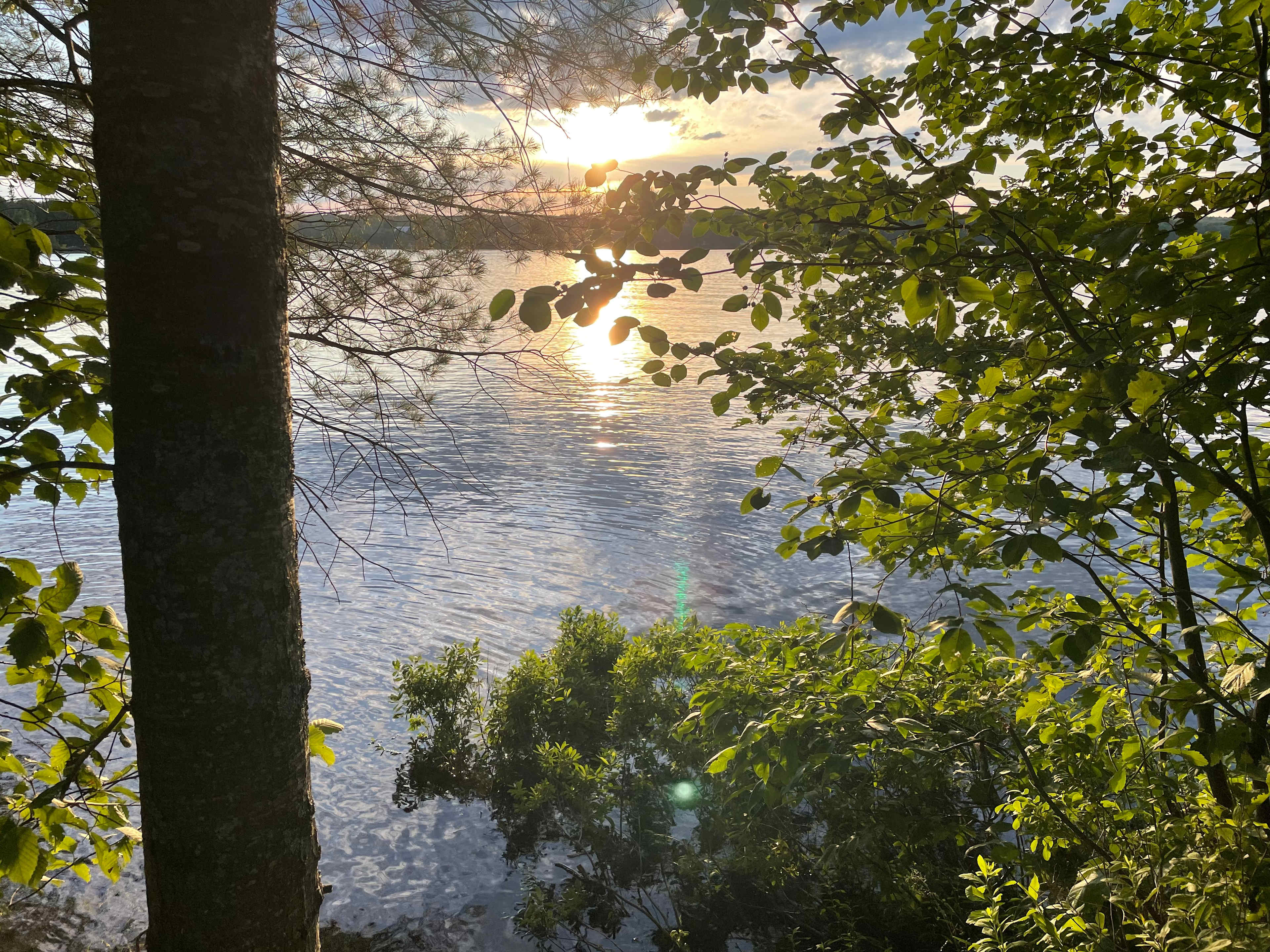 Eagle Lake Narrows Sunset Sites