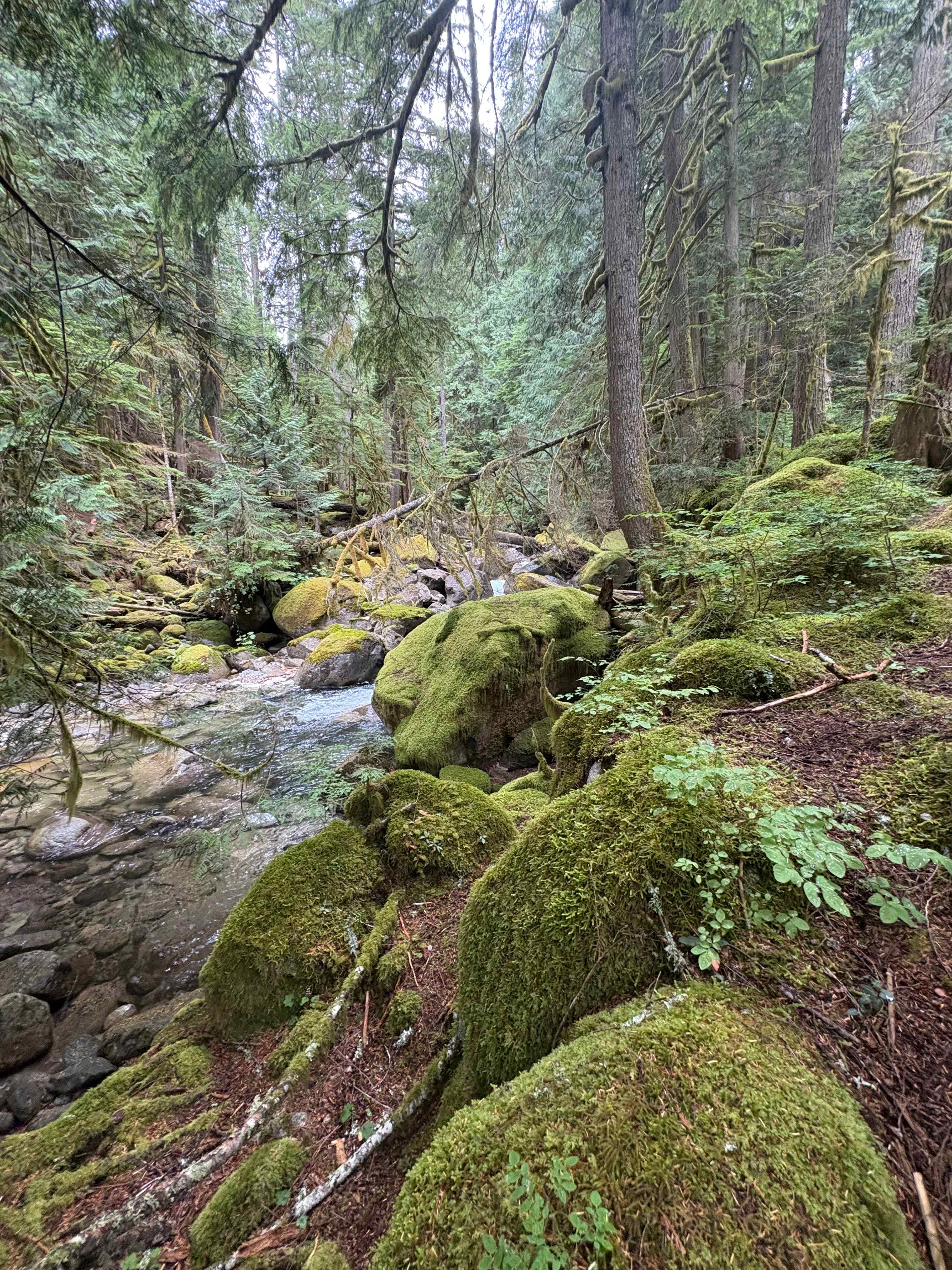 Scenic Cedars Campground