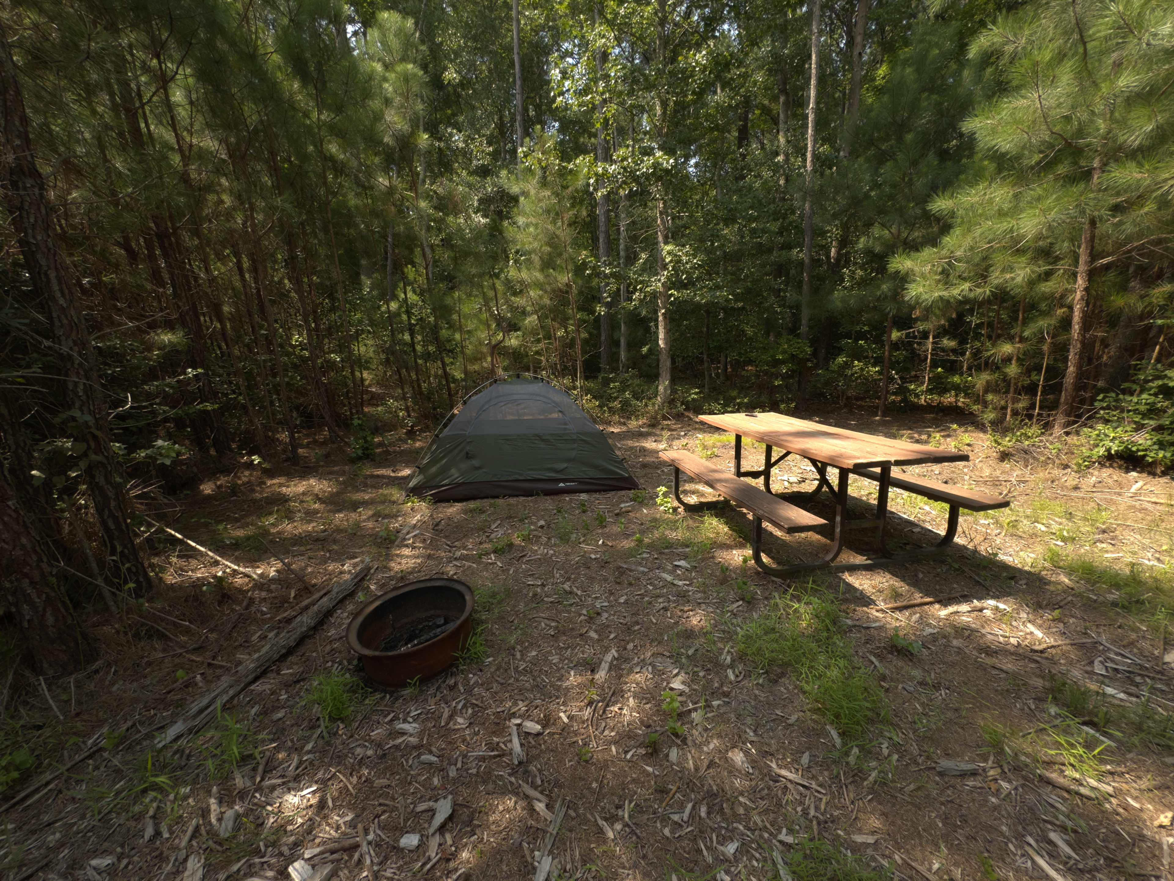 Pine Meadows Primitive Campground