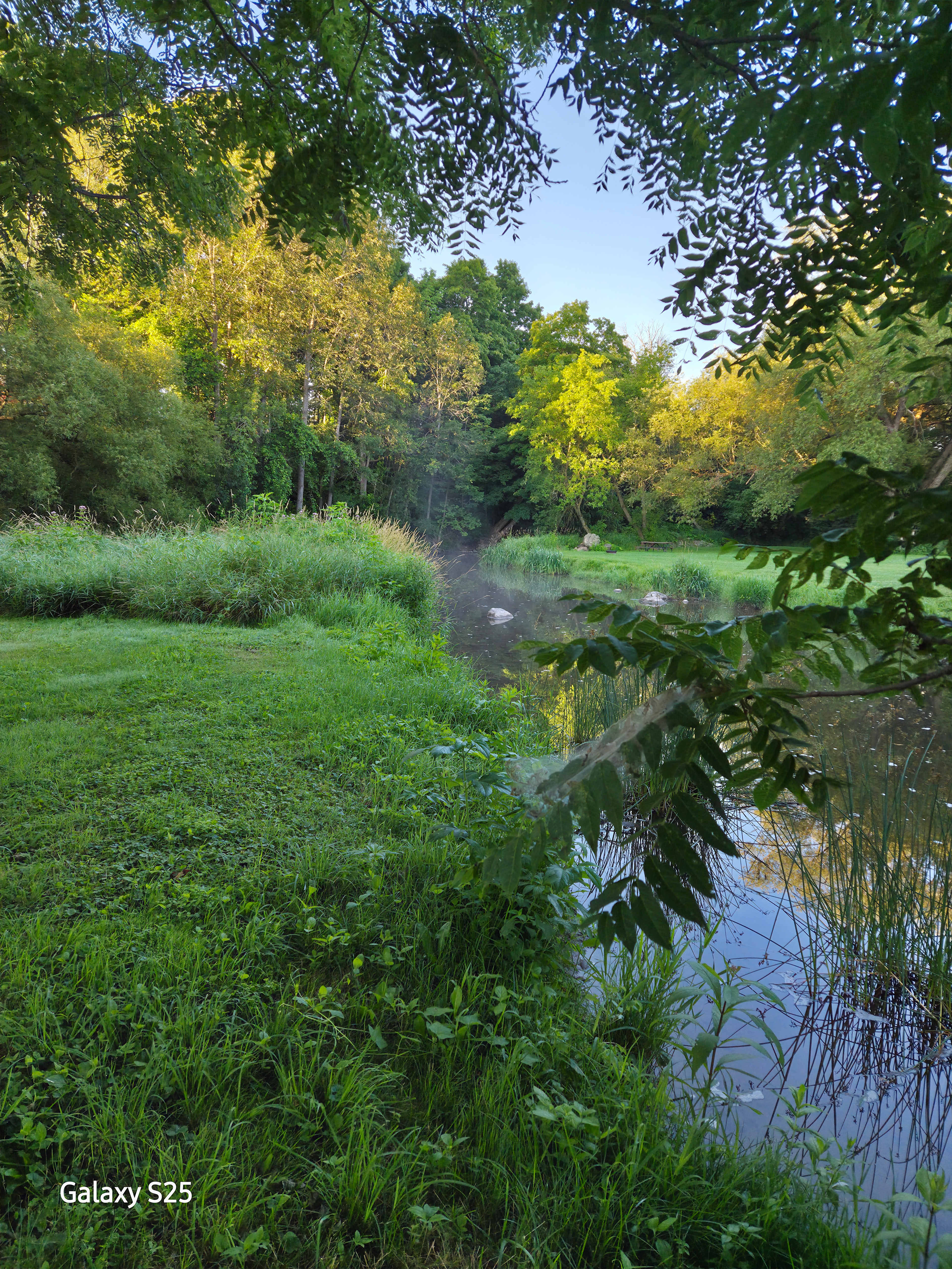 Right by the creek