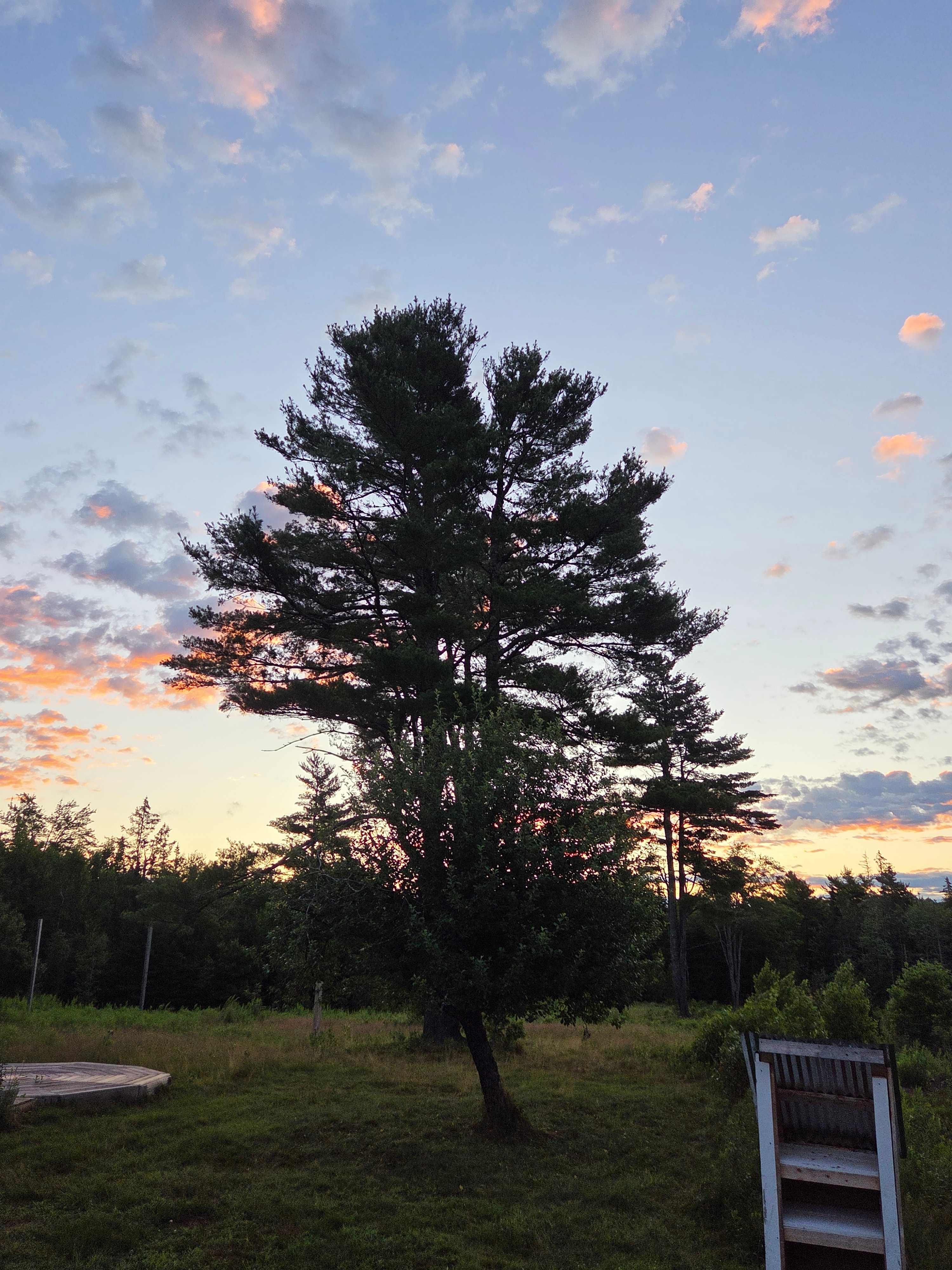Northen Lights Farms