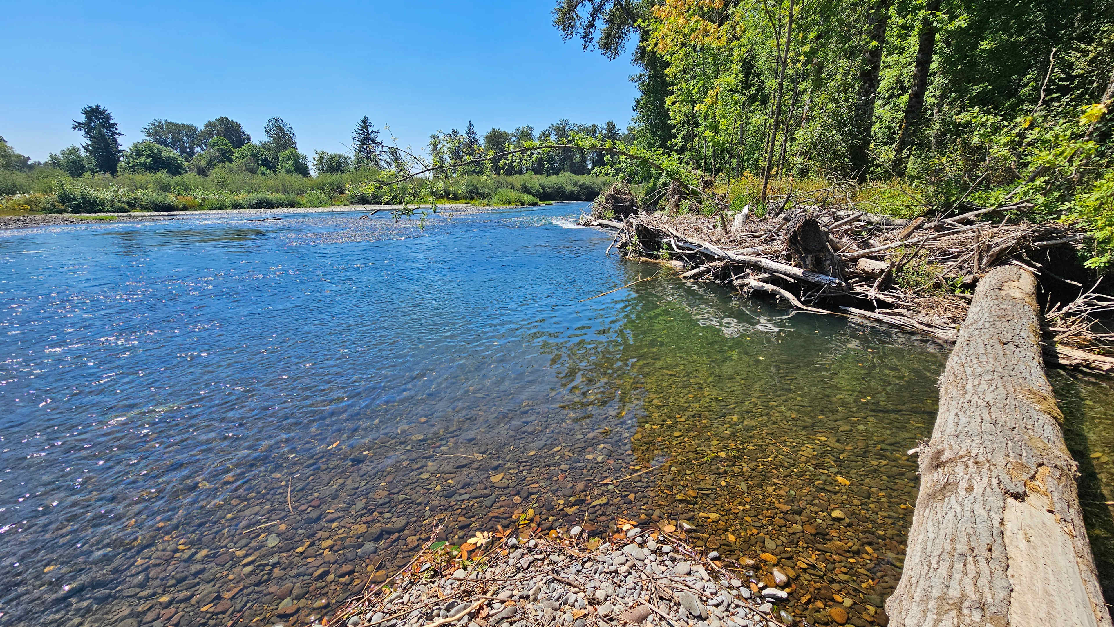Access to the Santiam River.