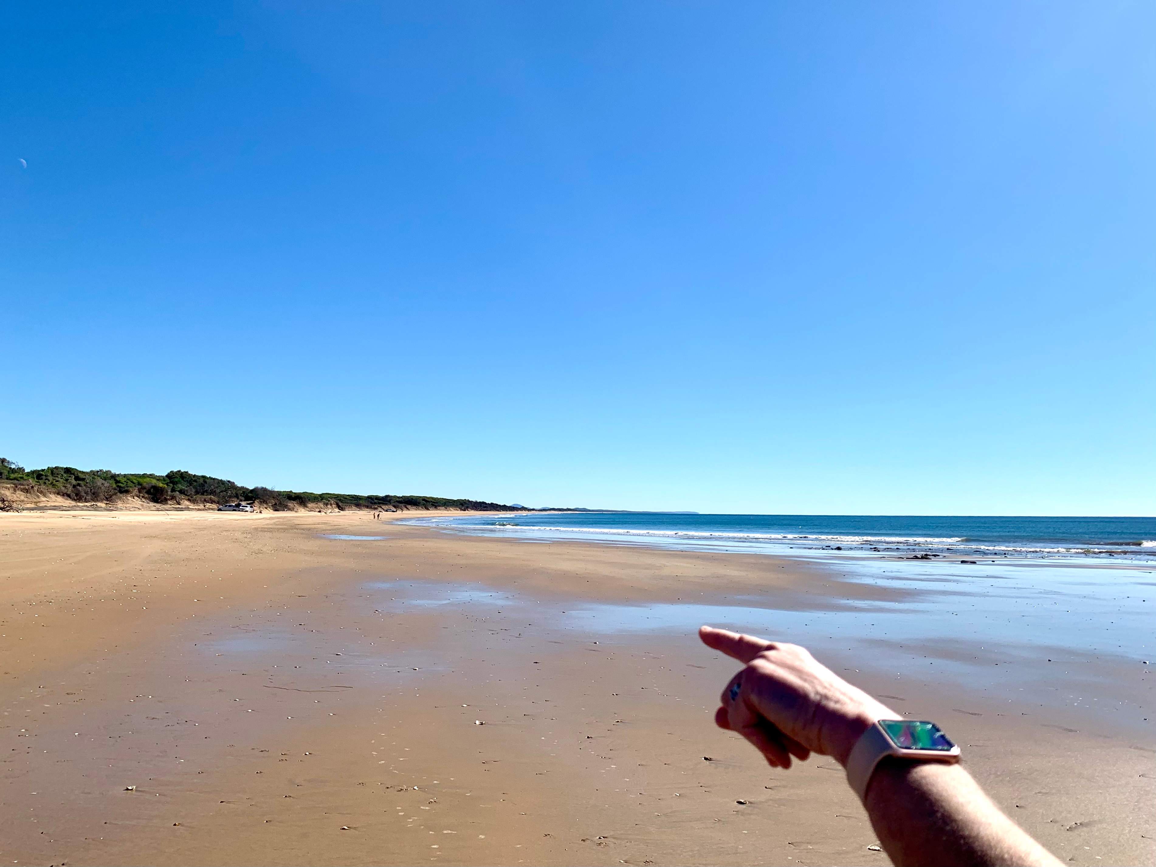 Rules Beach Turtles Bushcamp🐢