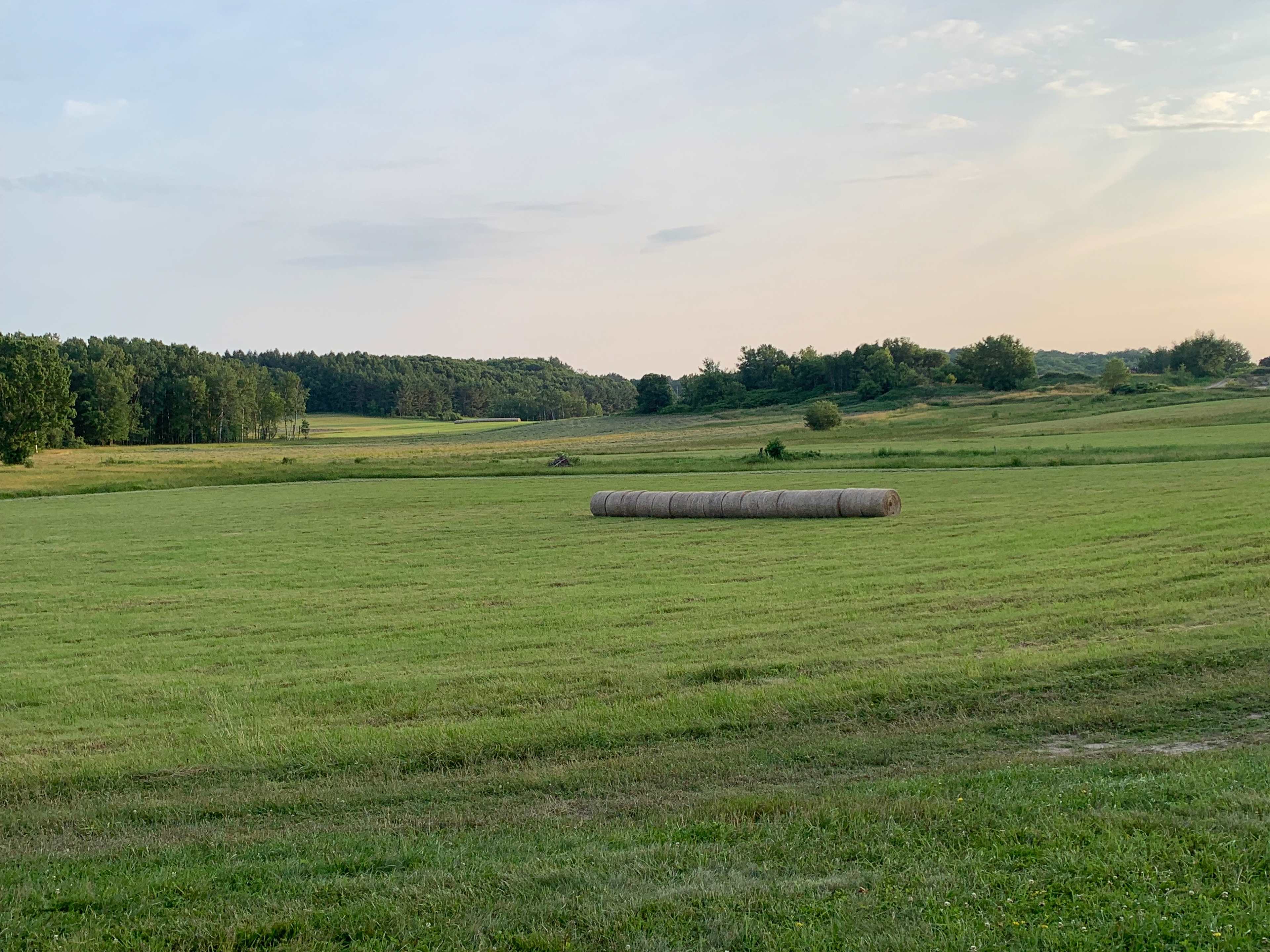 Coutts Farm