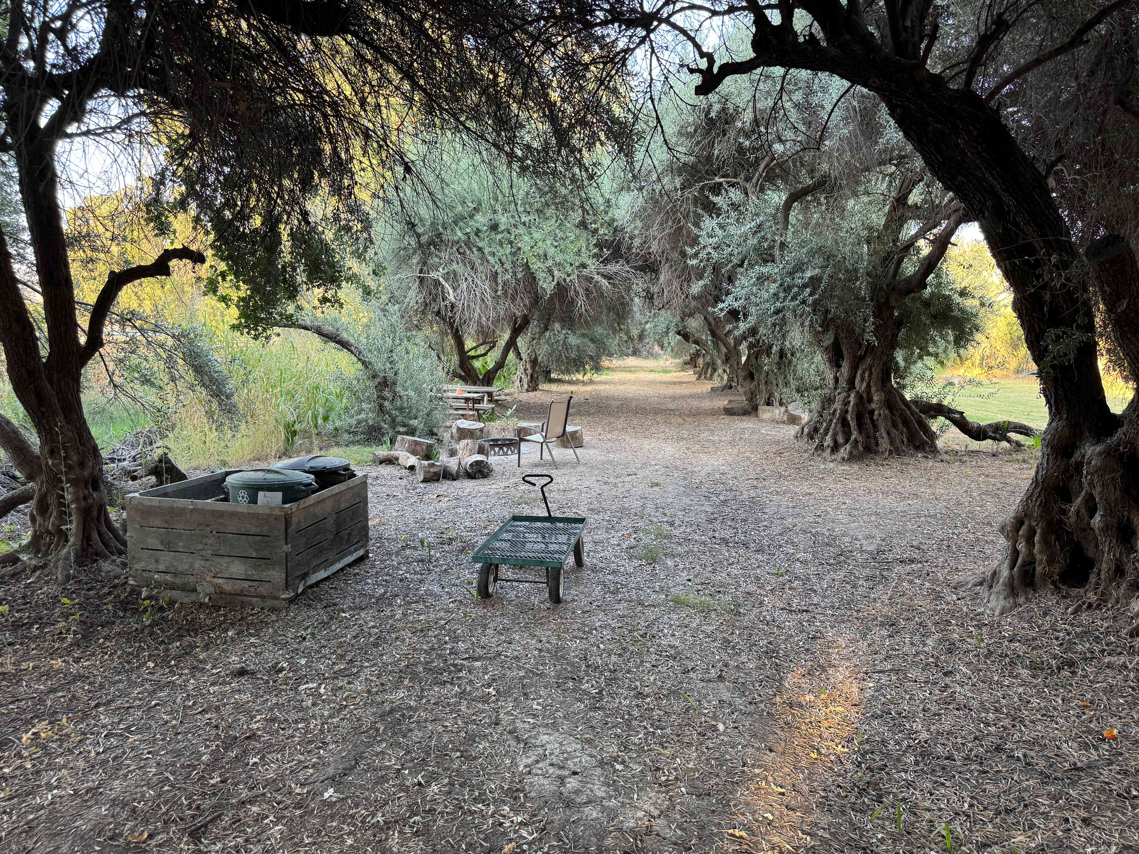 Blue Moon Orchard Retreat