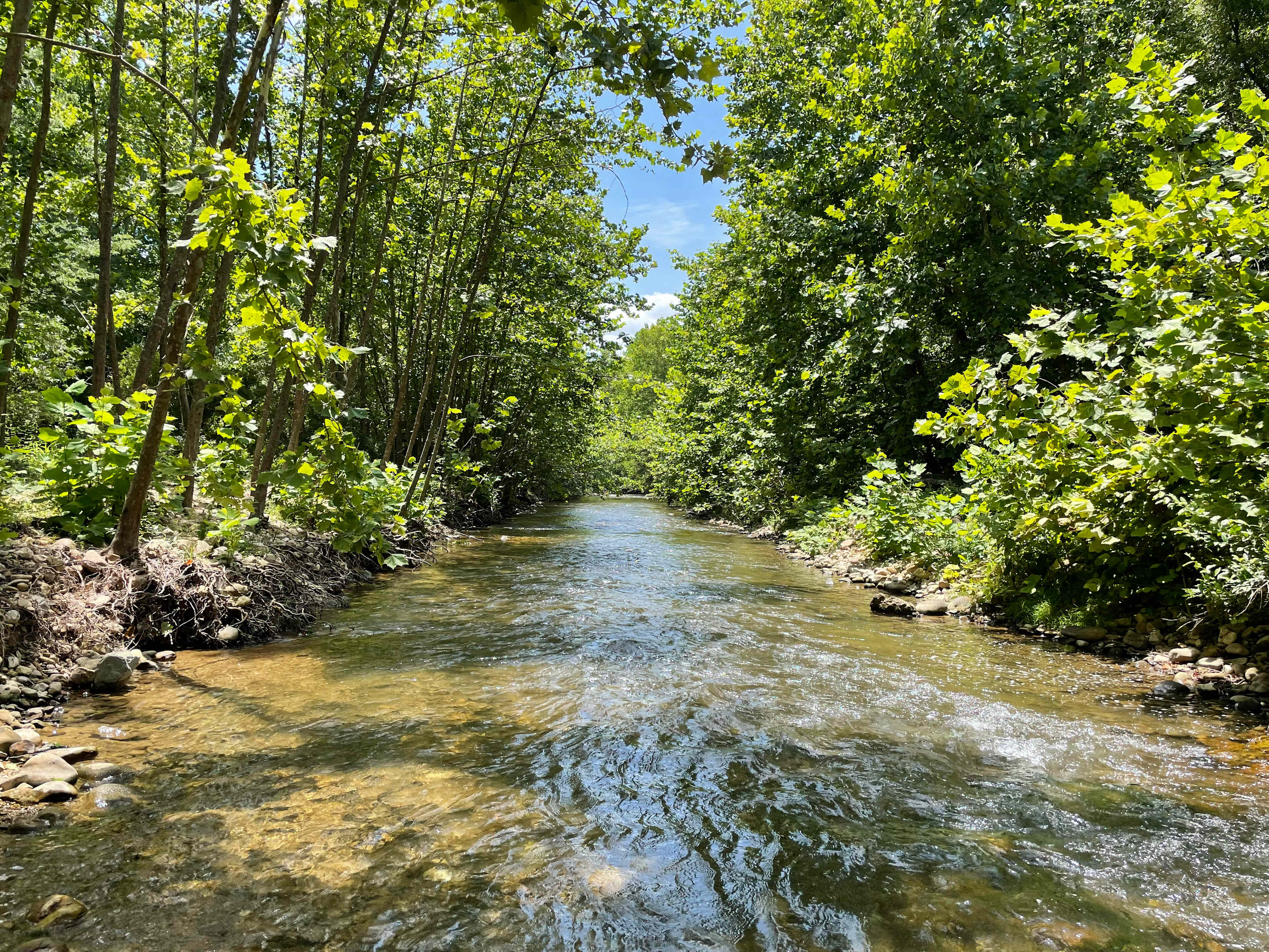 Swedish Lilac Campground & Events