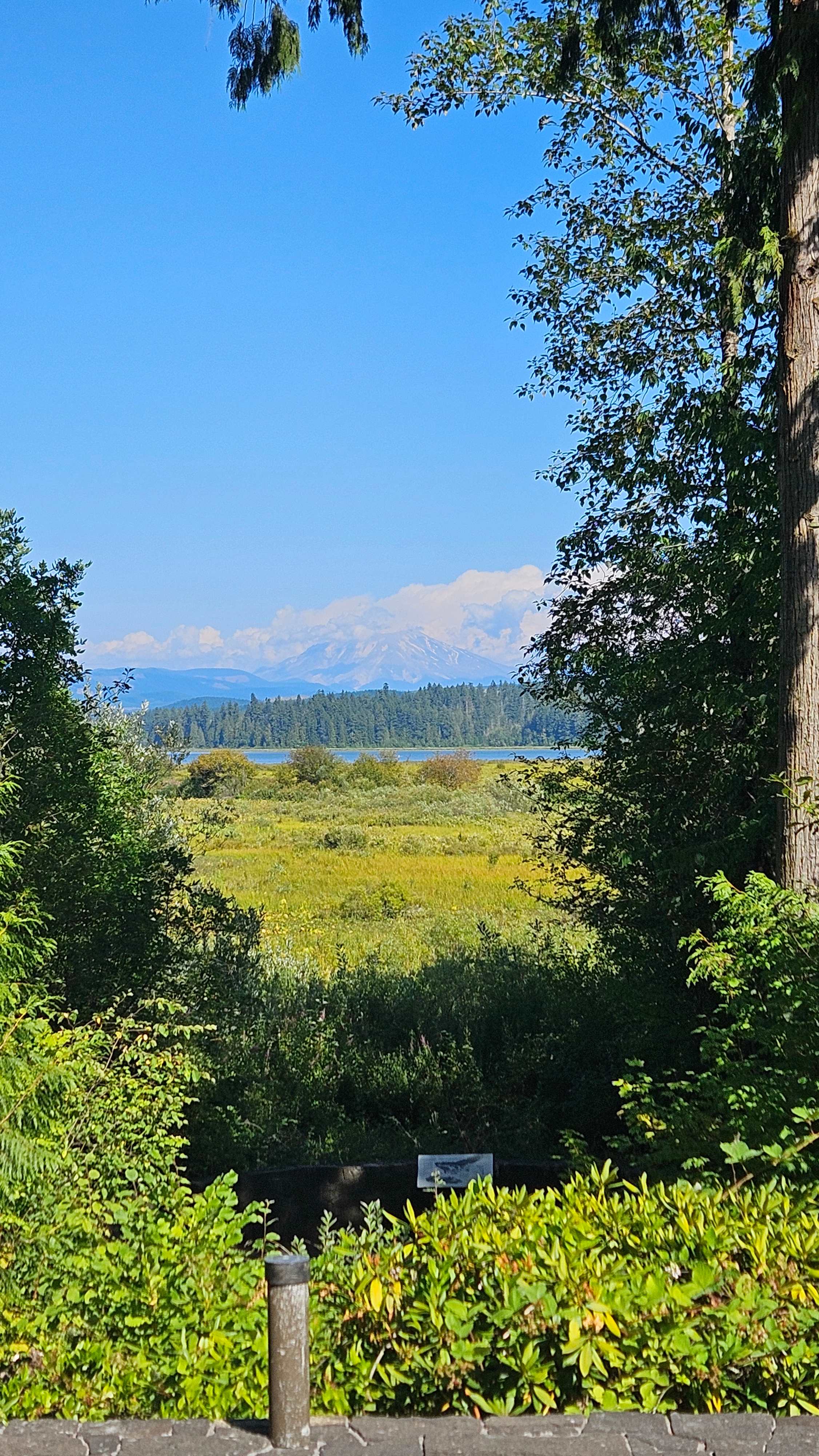 Mt Helen's view