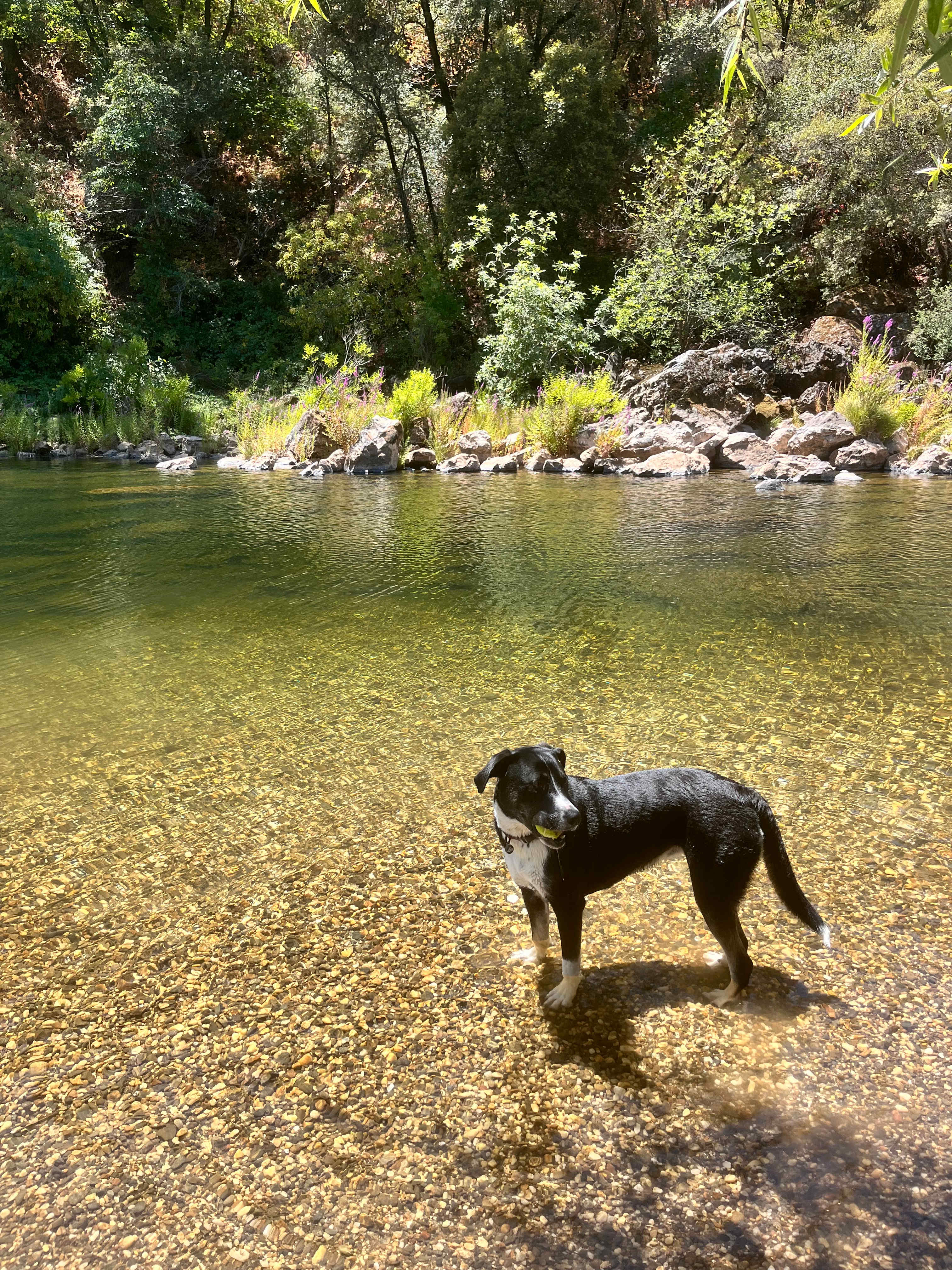 Private River Oasis
