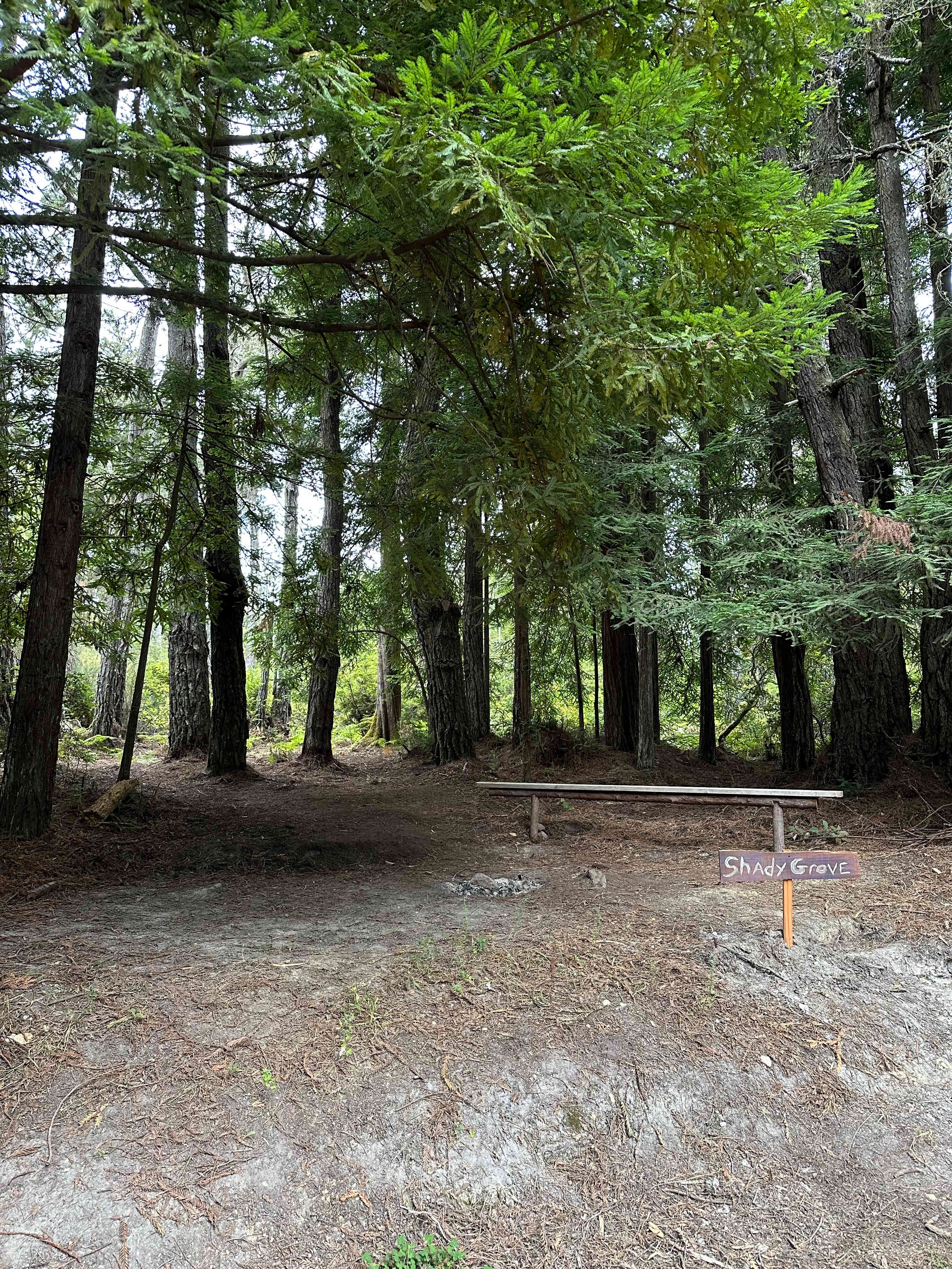 Bigfoot’s Coastal Hideaway