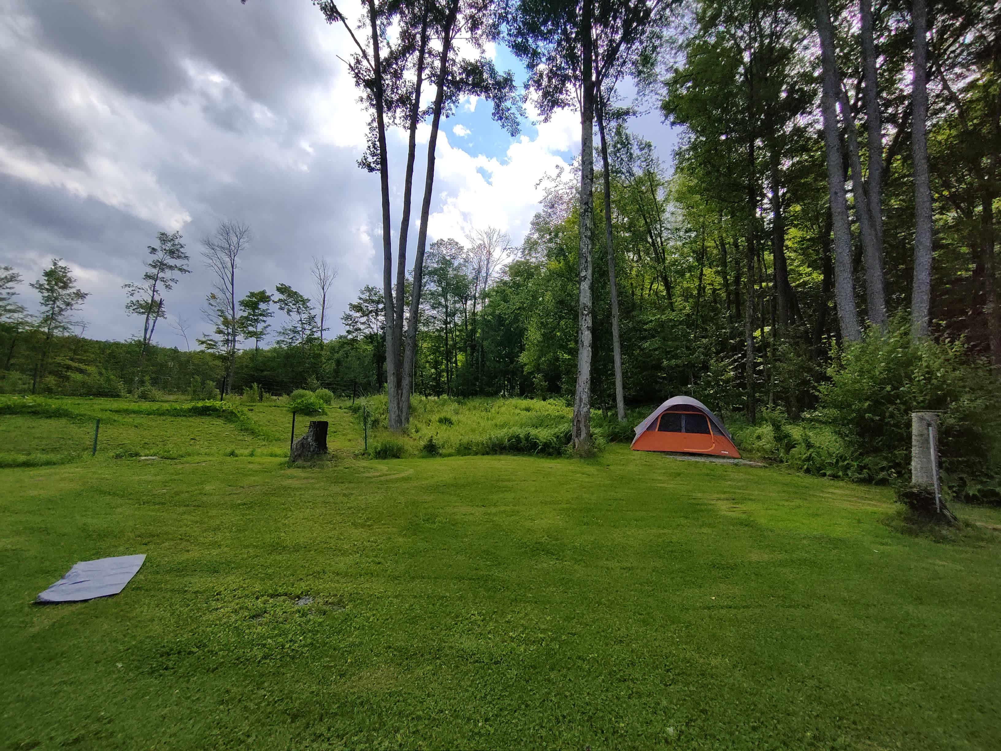 Center, looking West