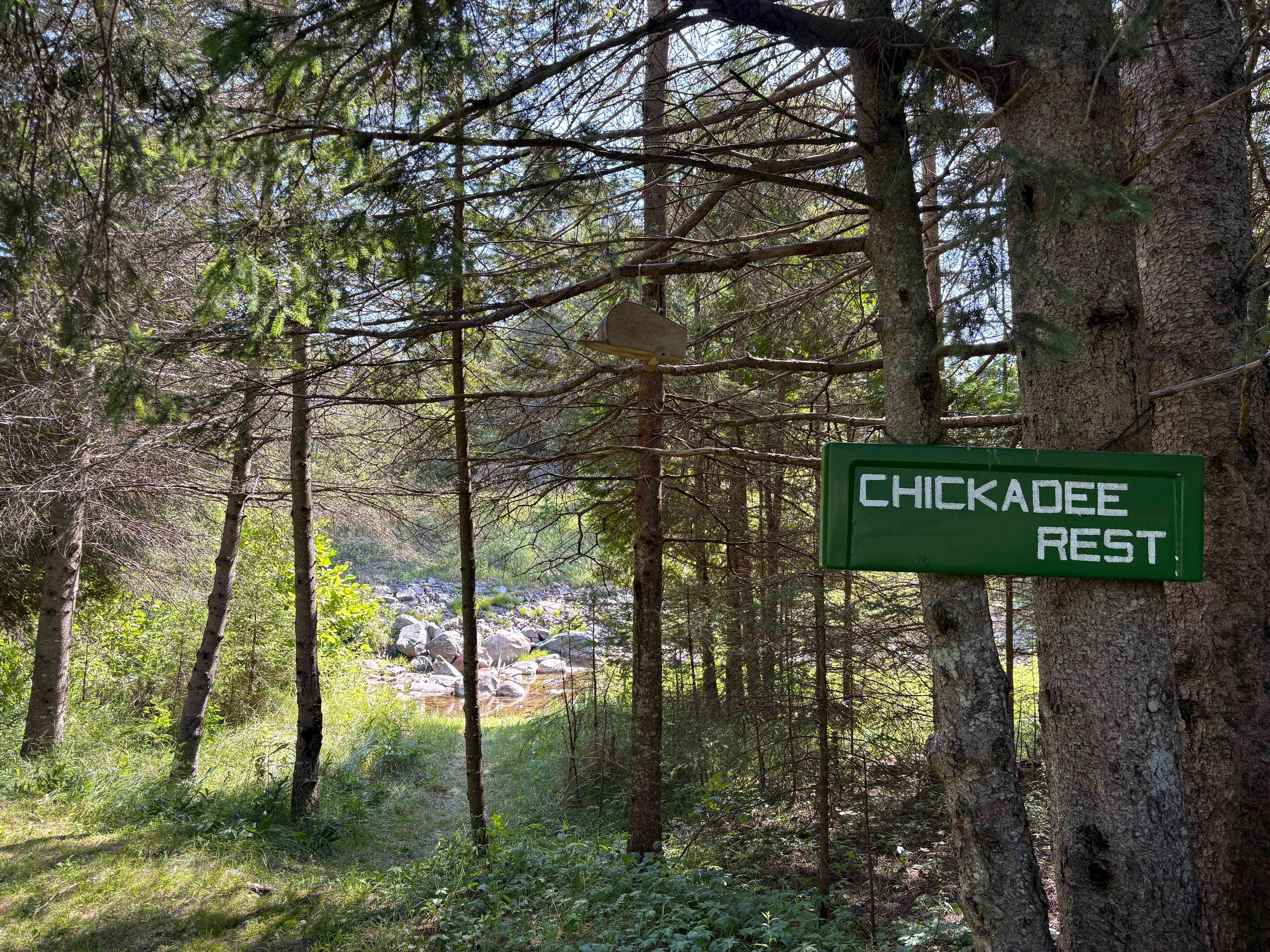 The camp site is located on the left side of an open grass area along a mixed cedar and spruce stand of trees. Close walk to toilet and shower facilities