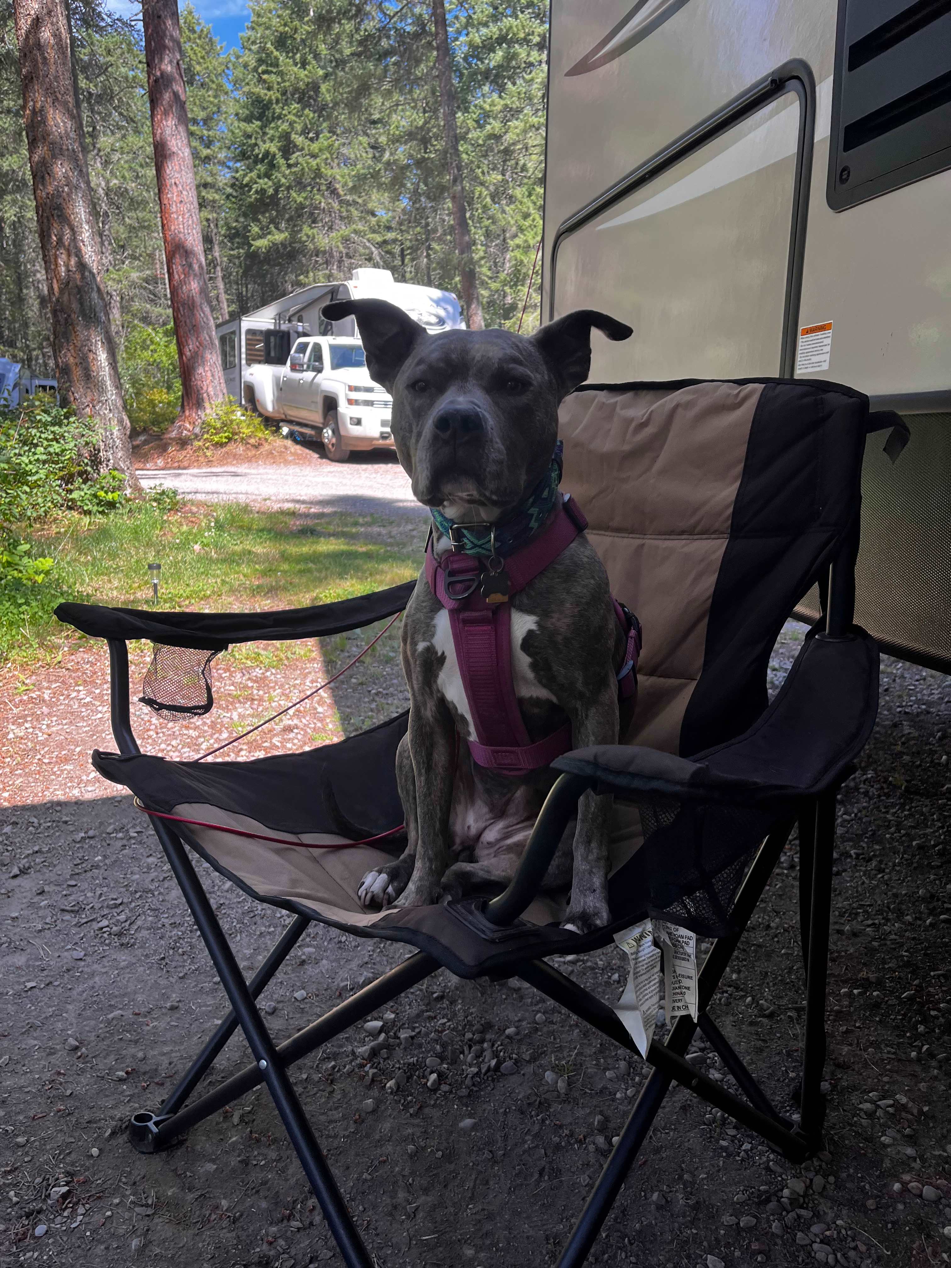 Outback Montana RV Park & Campground