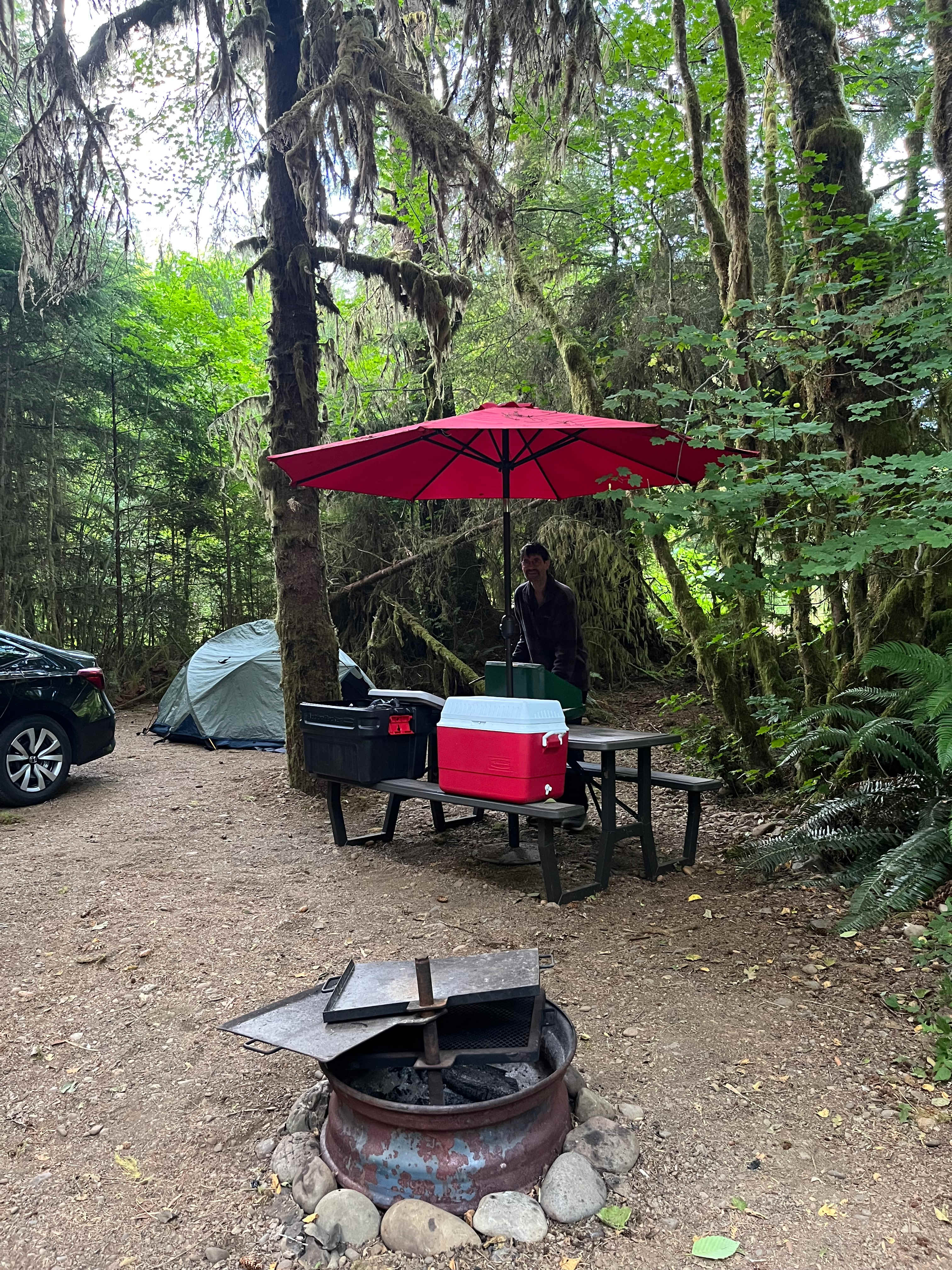 Fun forest adventure 