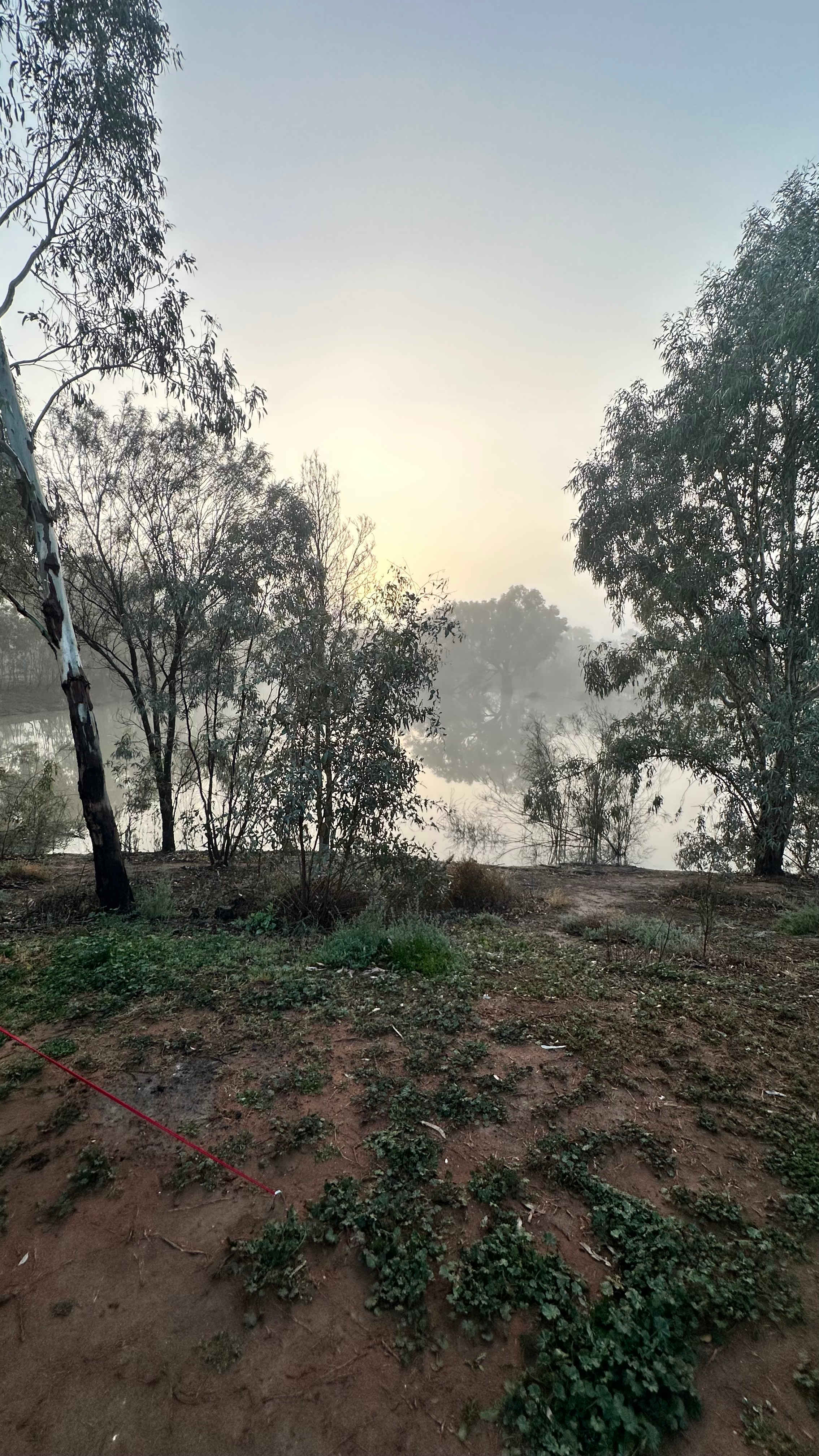 Warrawong On The Darling