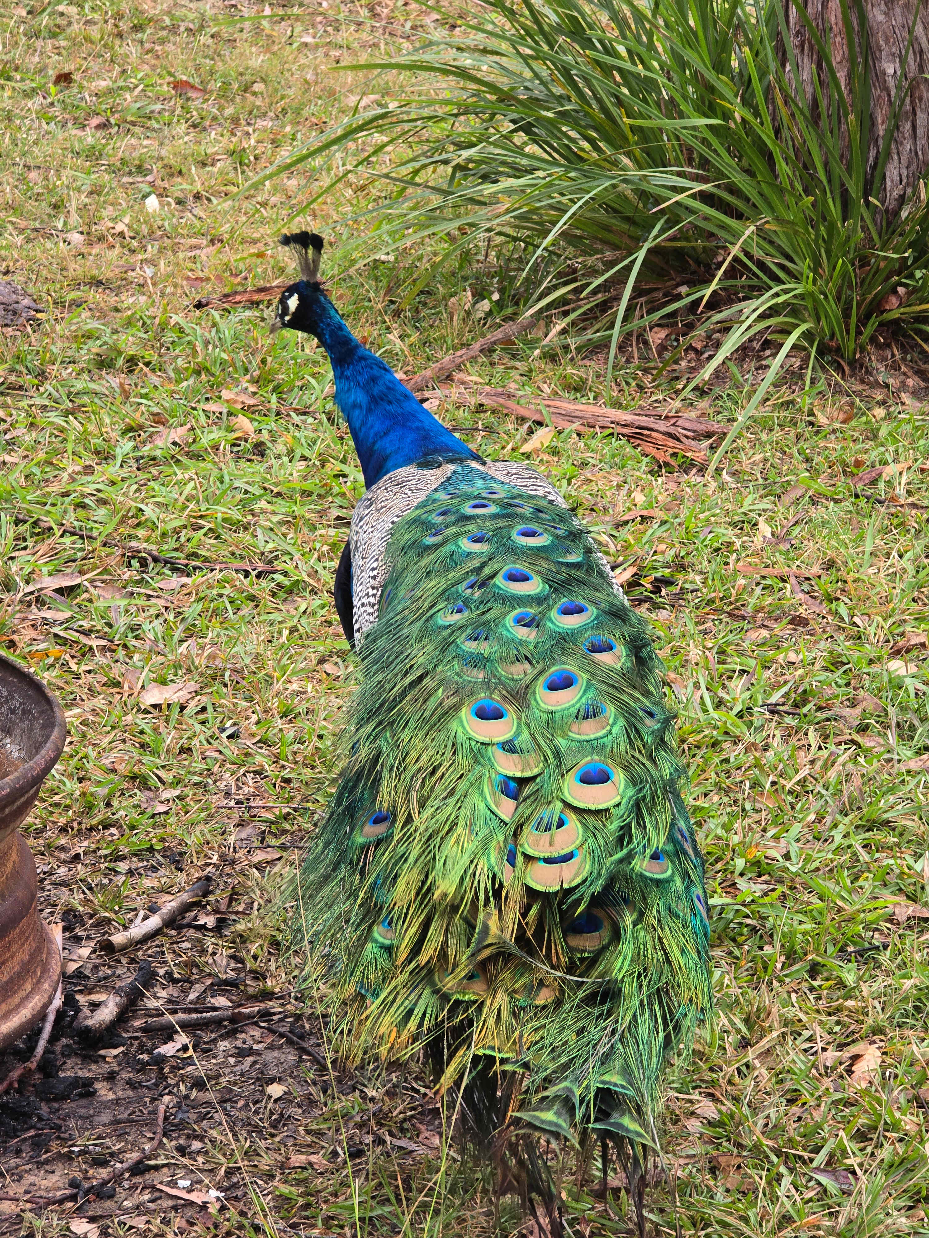 Coffs Harbour Camping & Farmstay