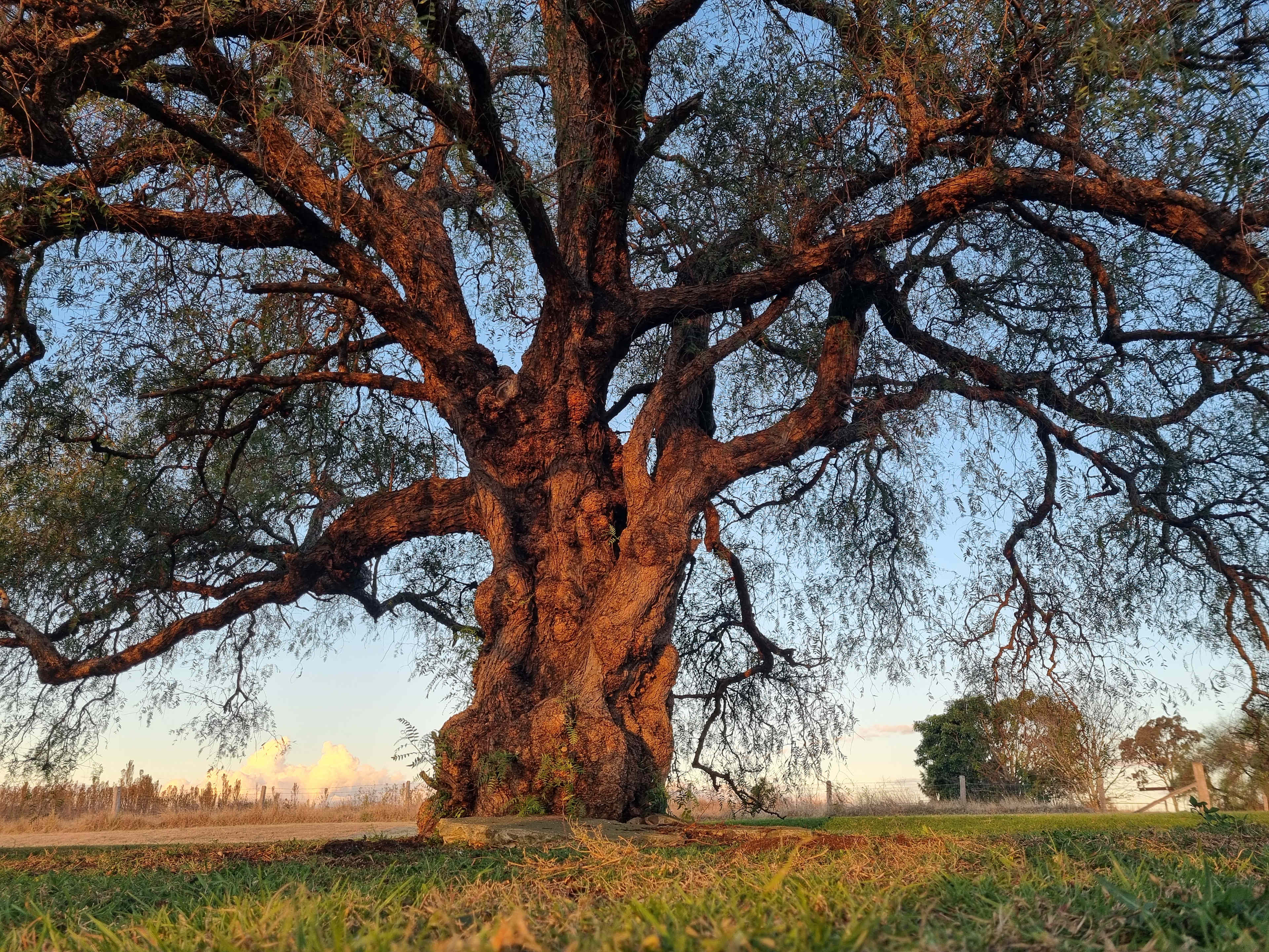 Coobindah Country Escape