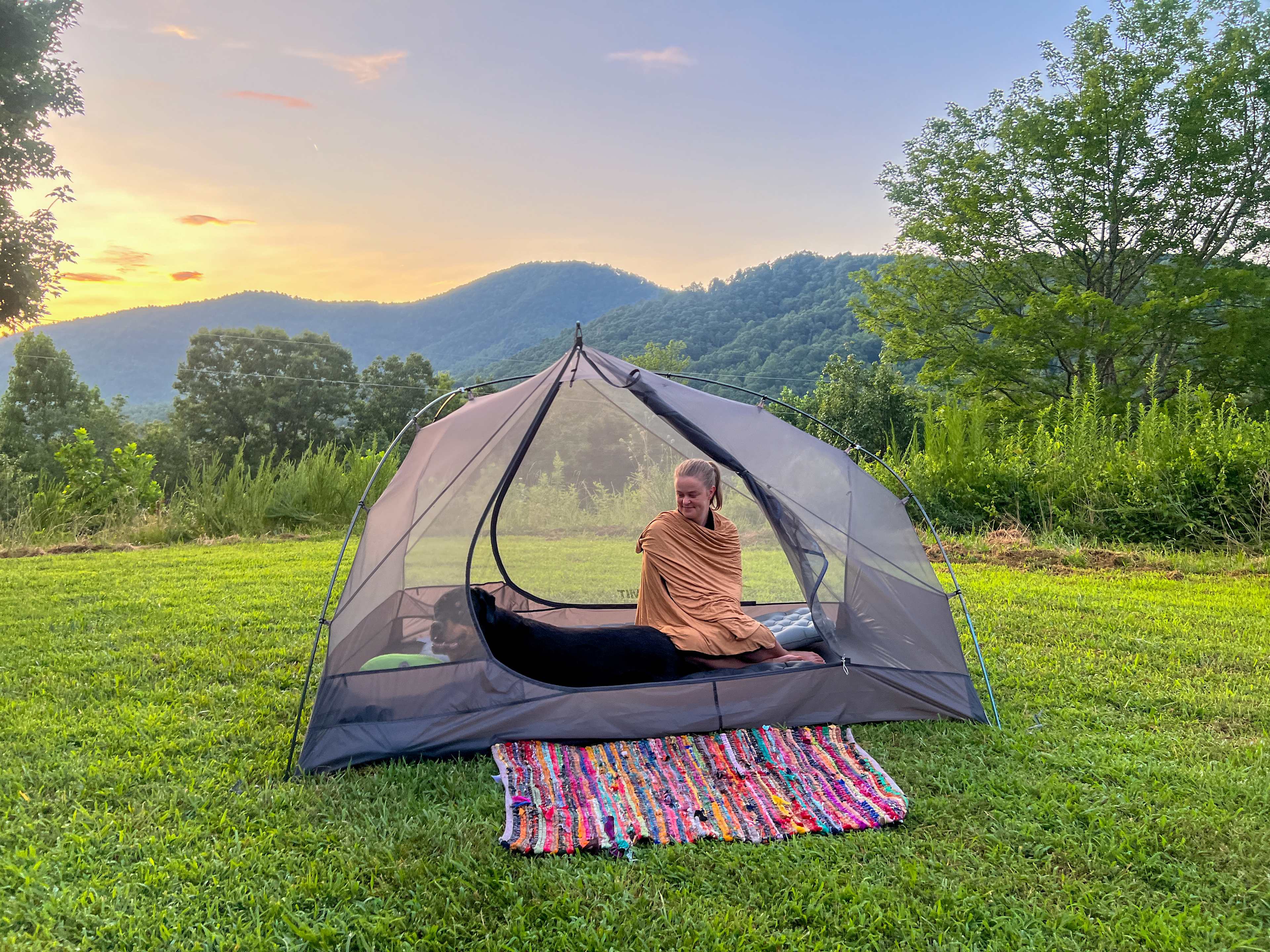 Bolin Knob Meadows