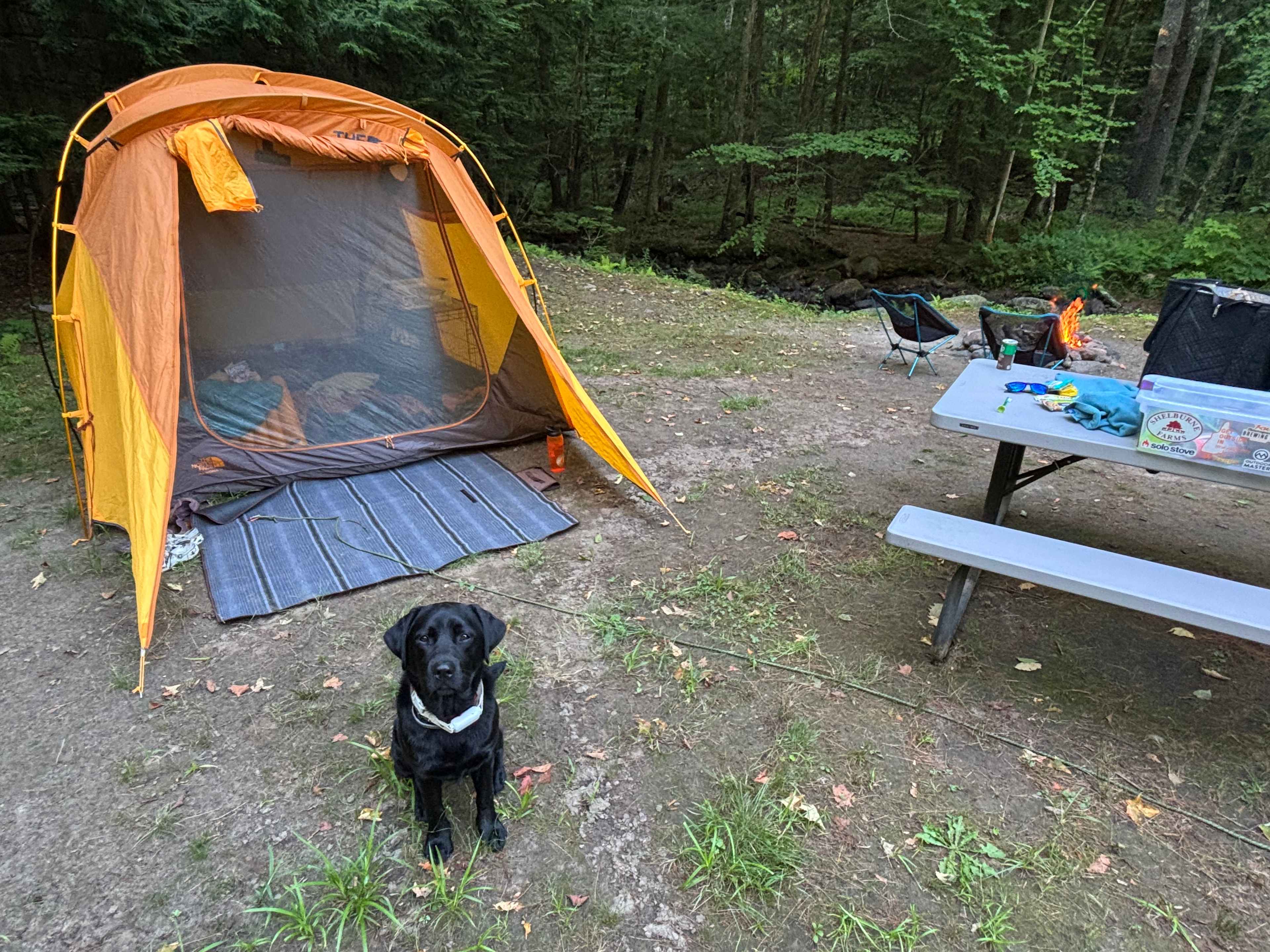 Site 7