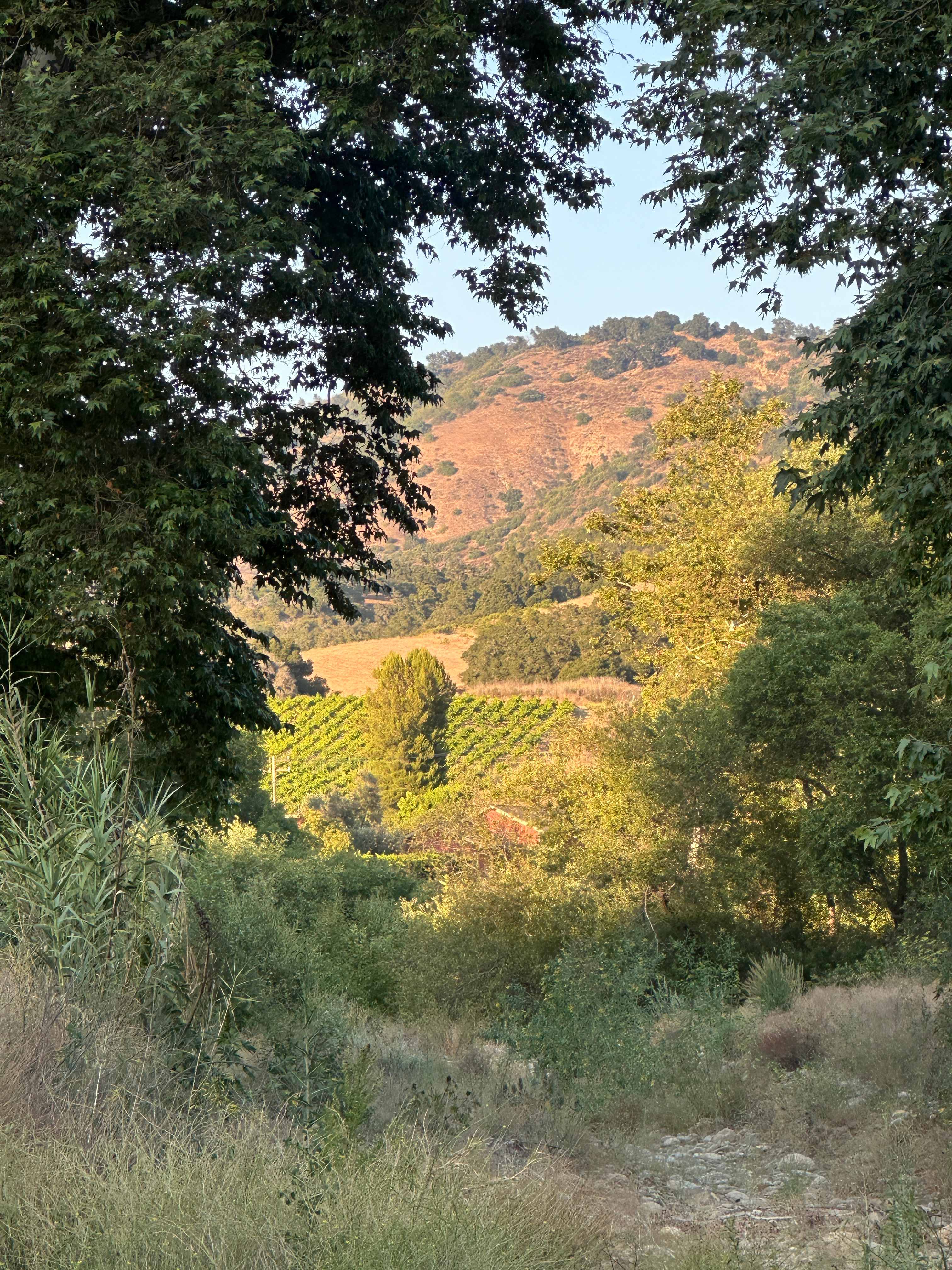 Rancho de Granville