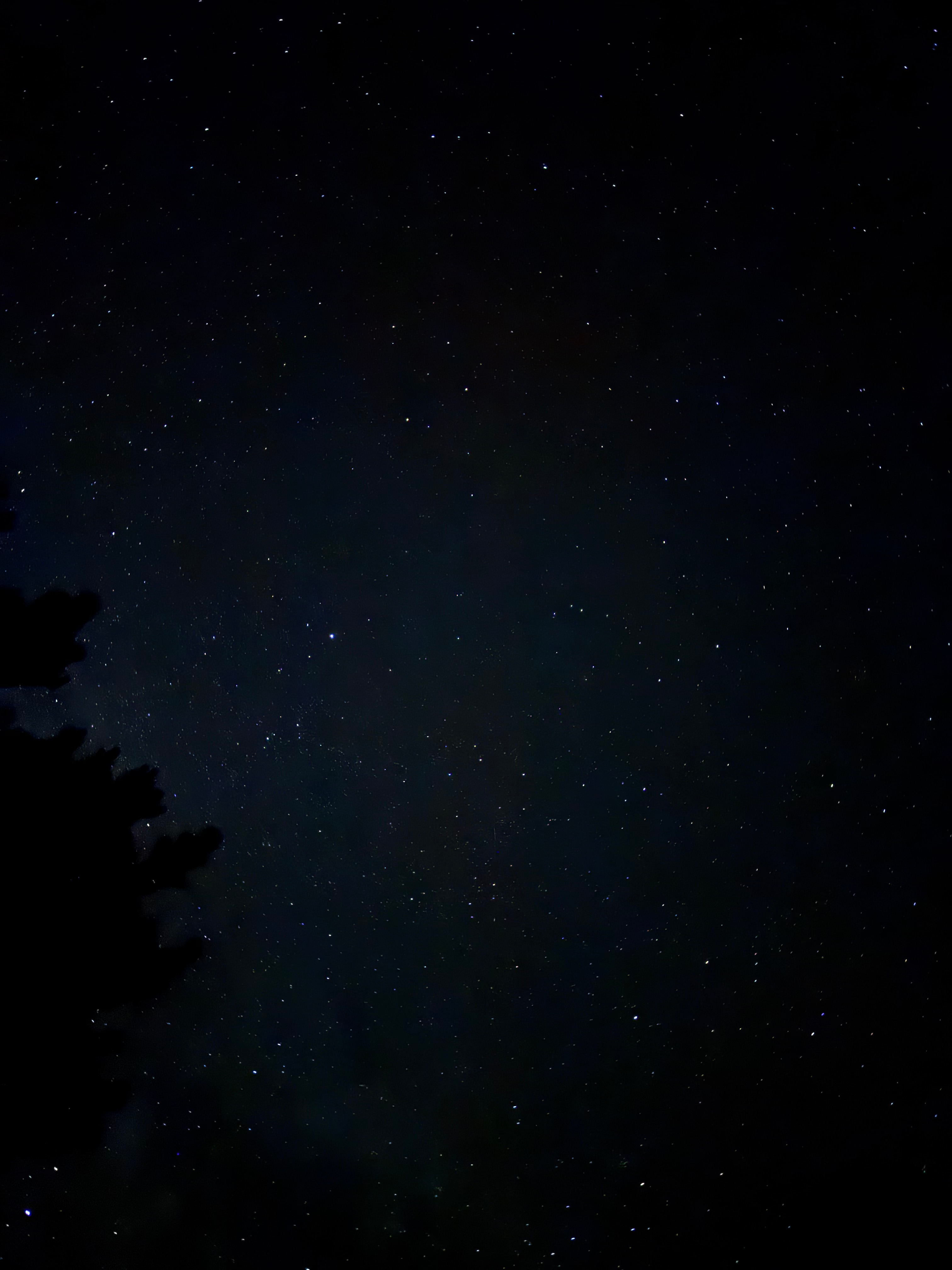 Starlight Carroll Creek