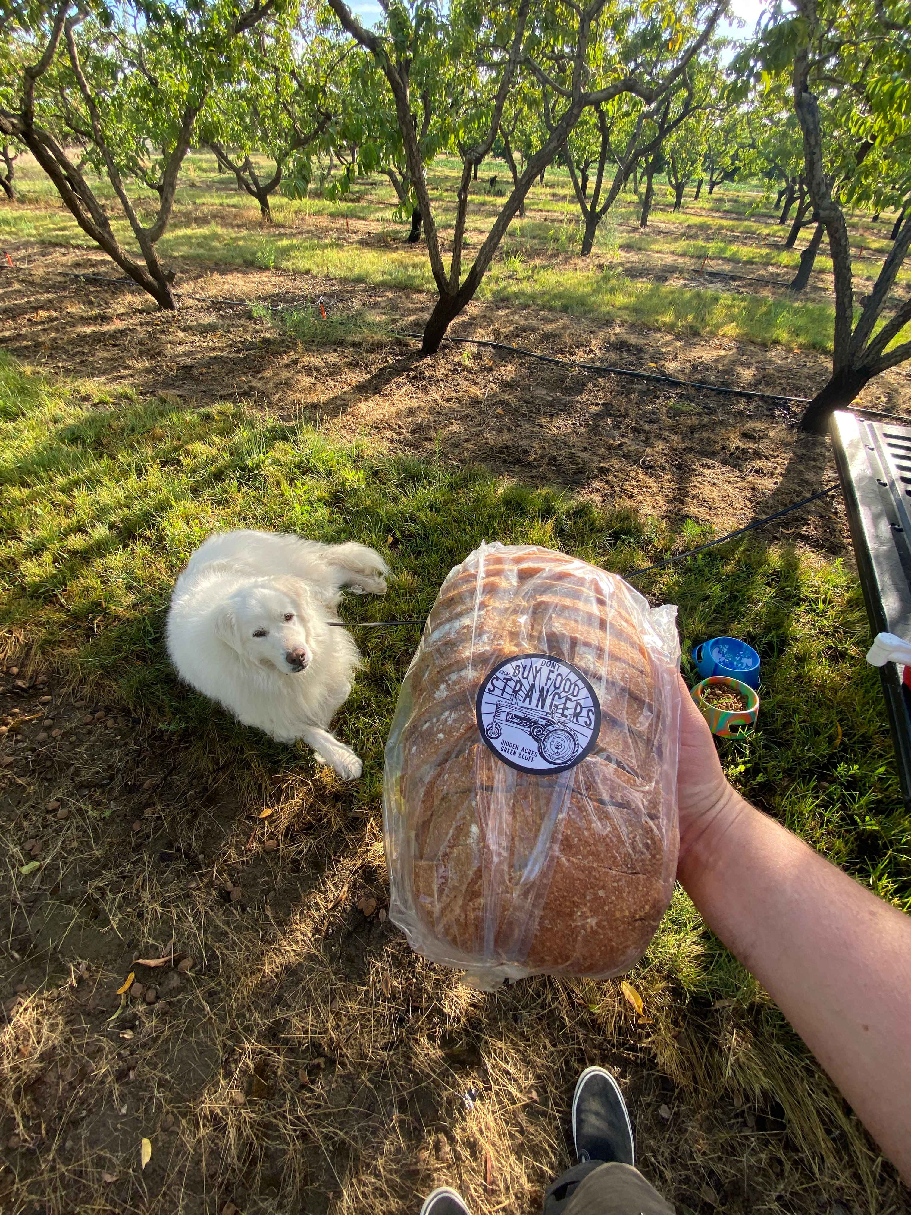Hidden Acres Orchards