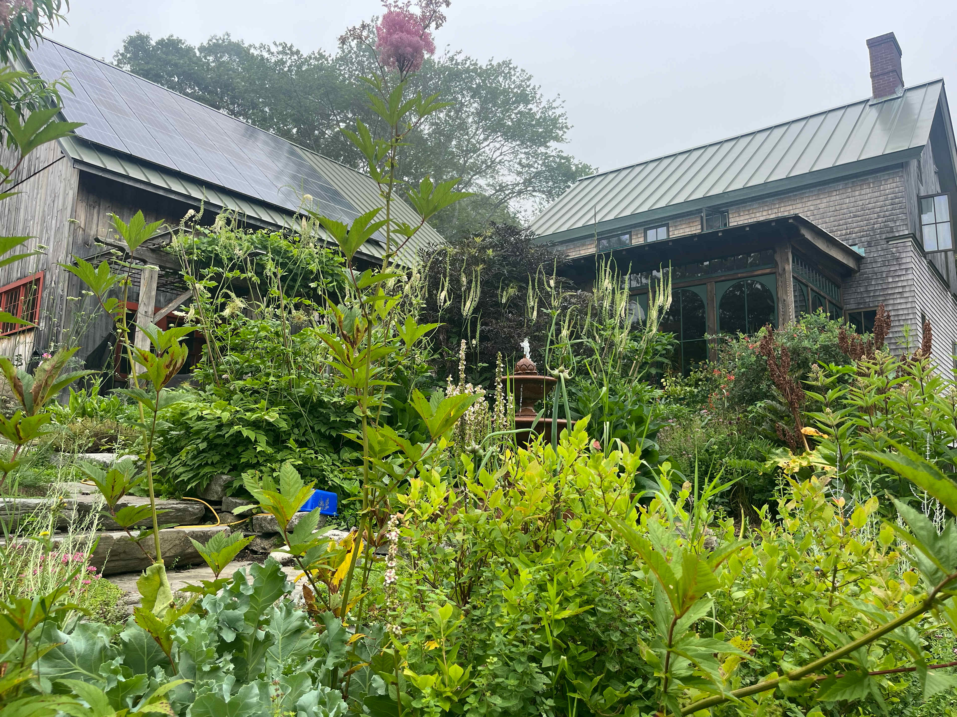 Hazel’s gardens 🤩