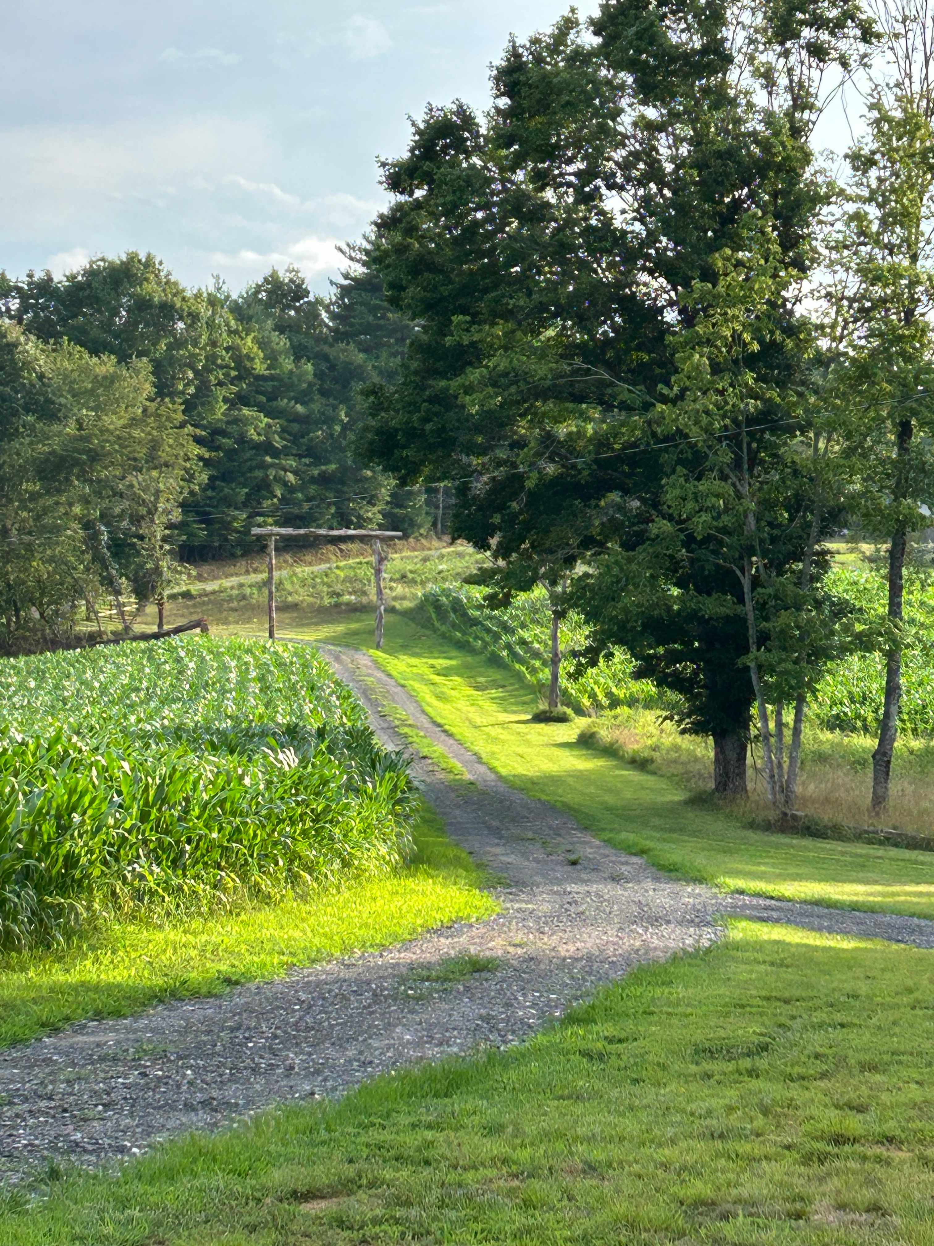 Peak A View Farm & Camp