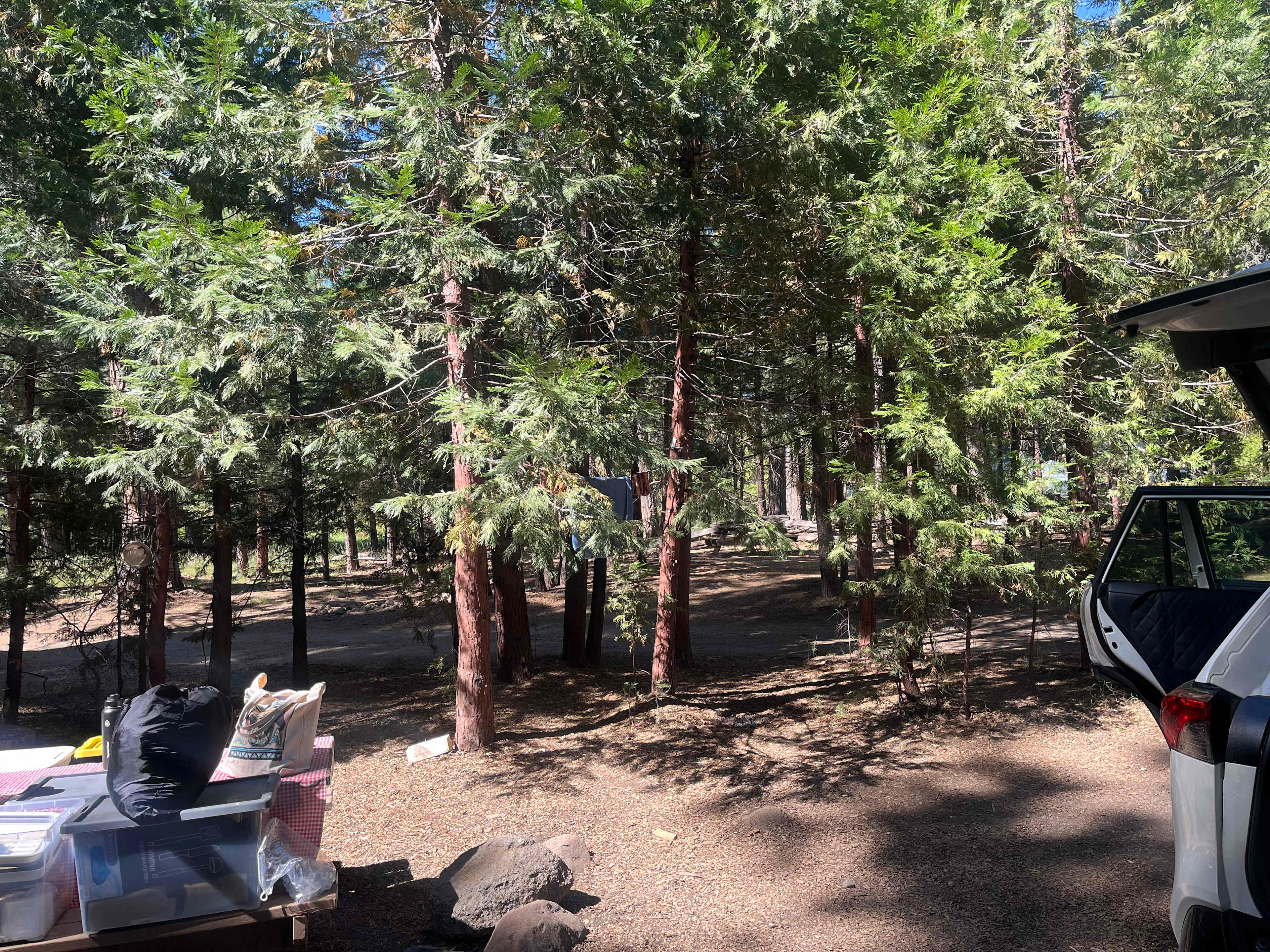 Mill Creek Resort
