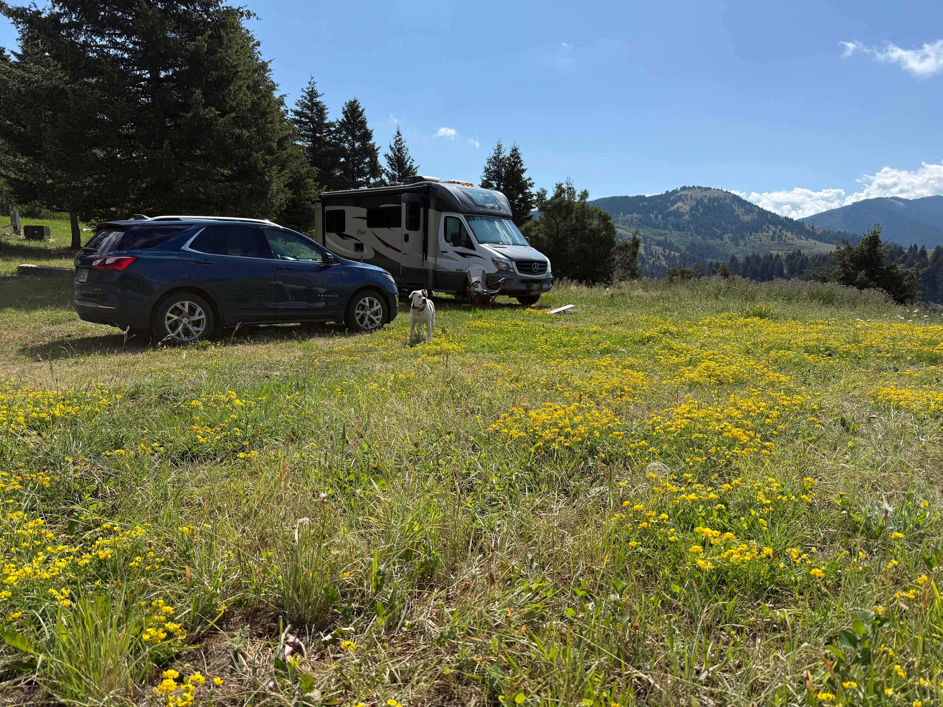 Most Amazing Camper Site in MT