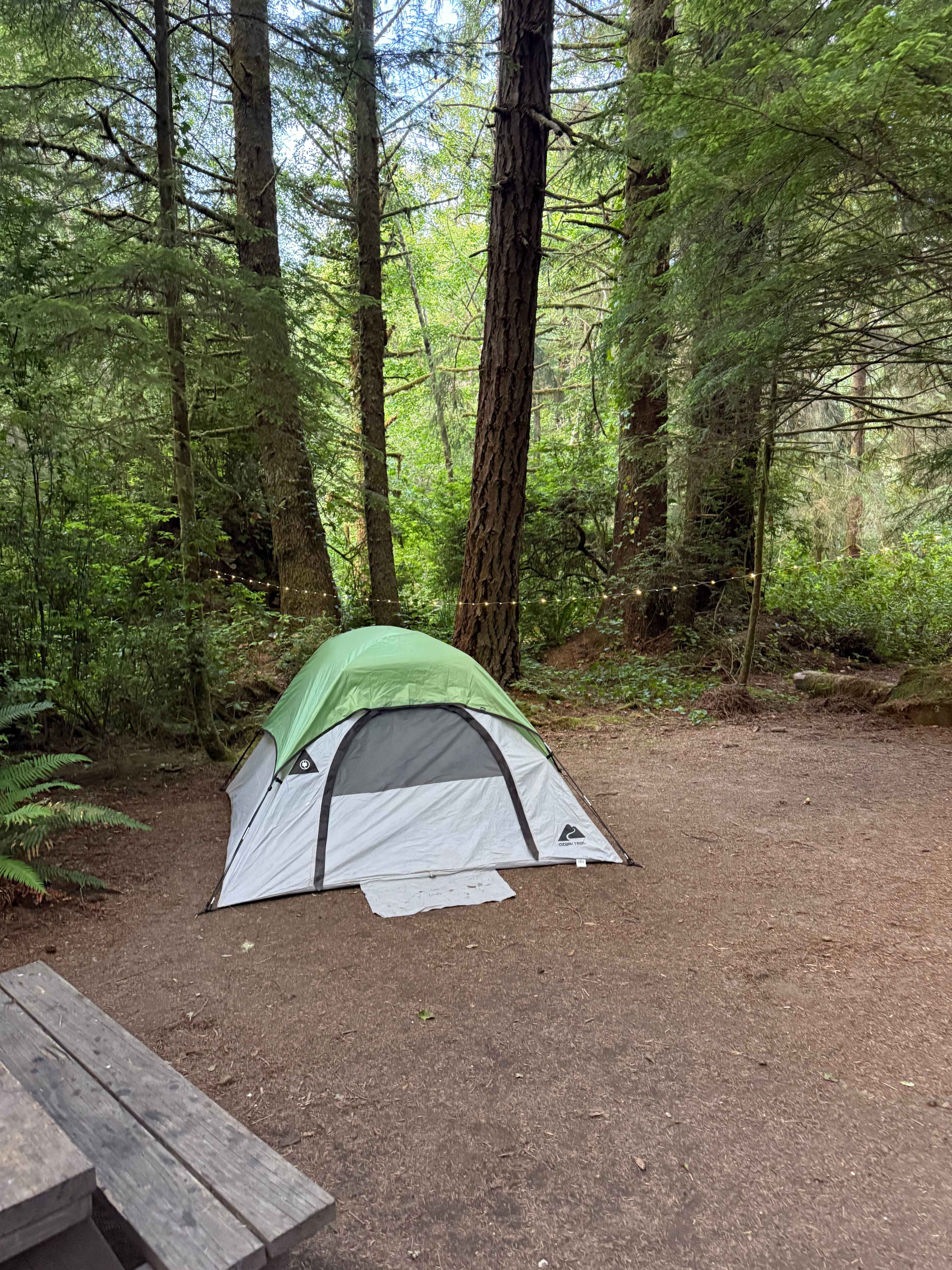 Mystic Forest Campground