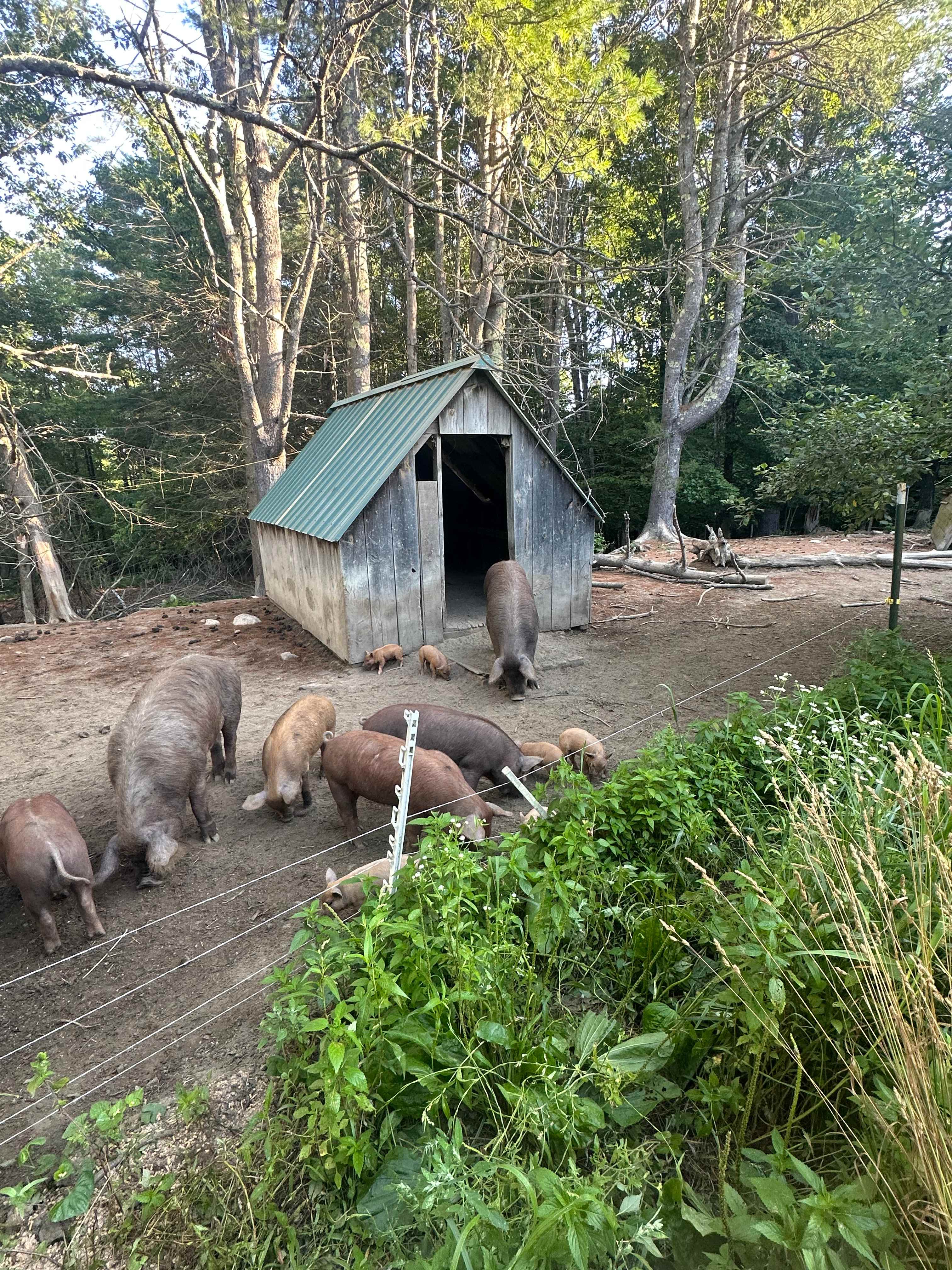 Tir na nOg Farm