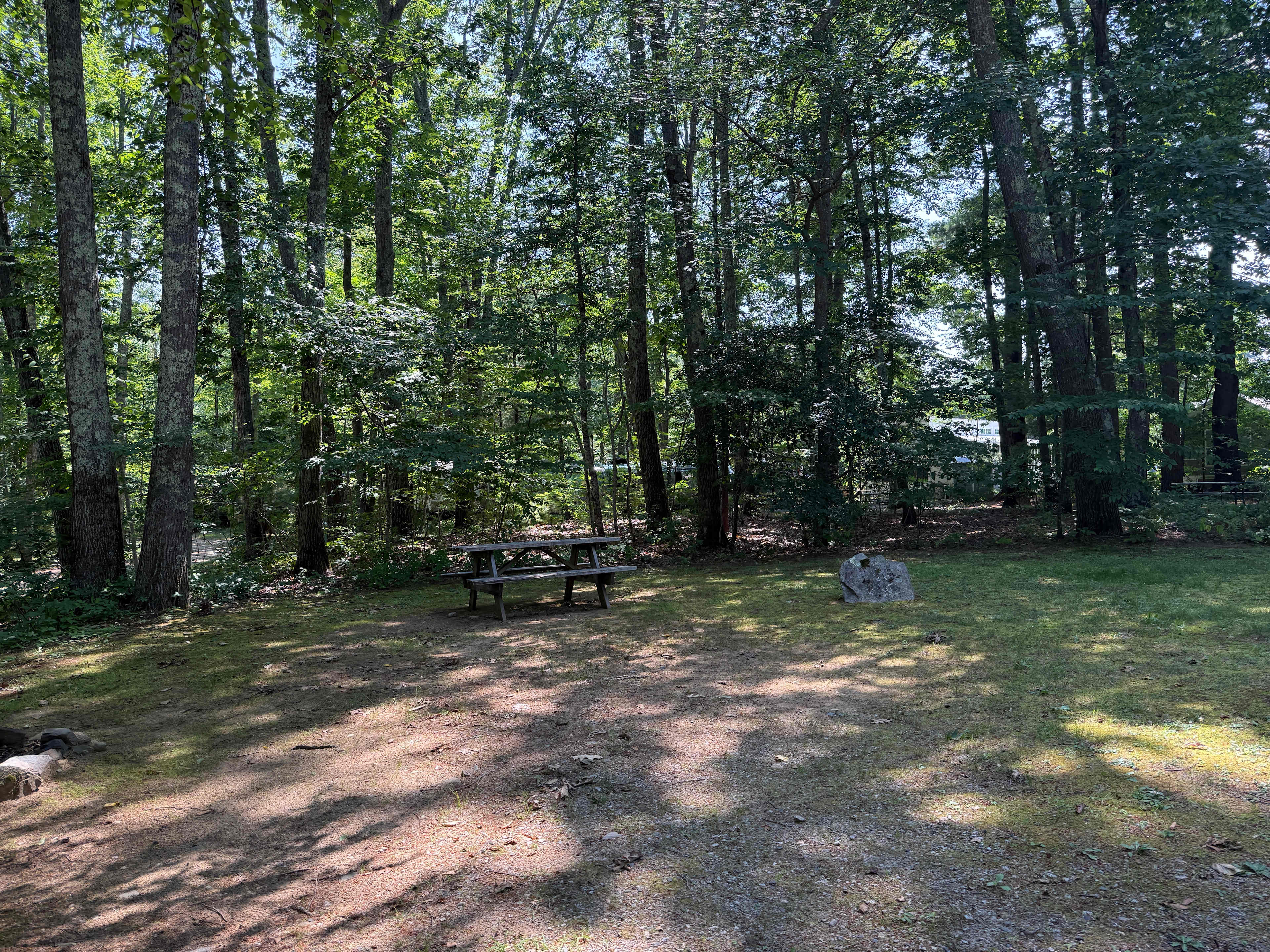 Pinederosa Campground