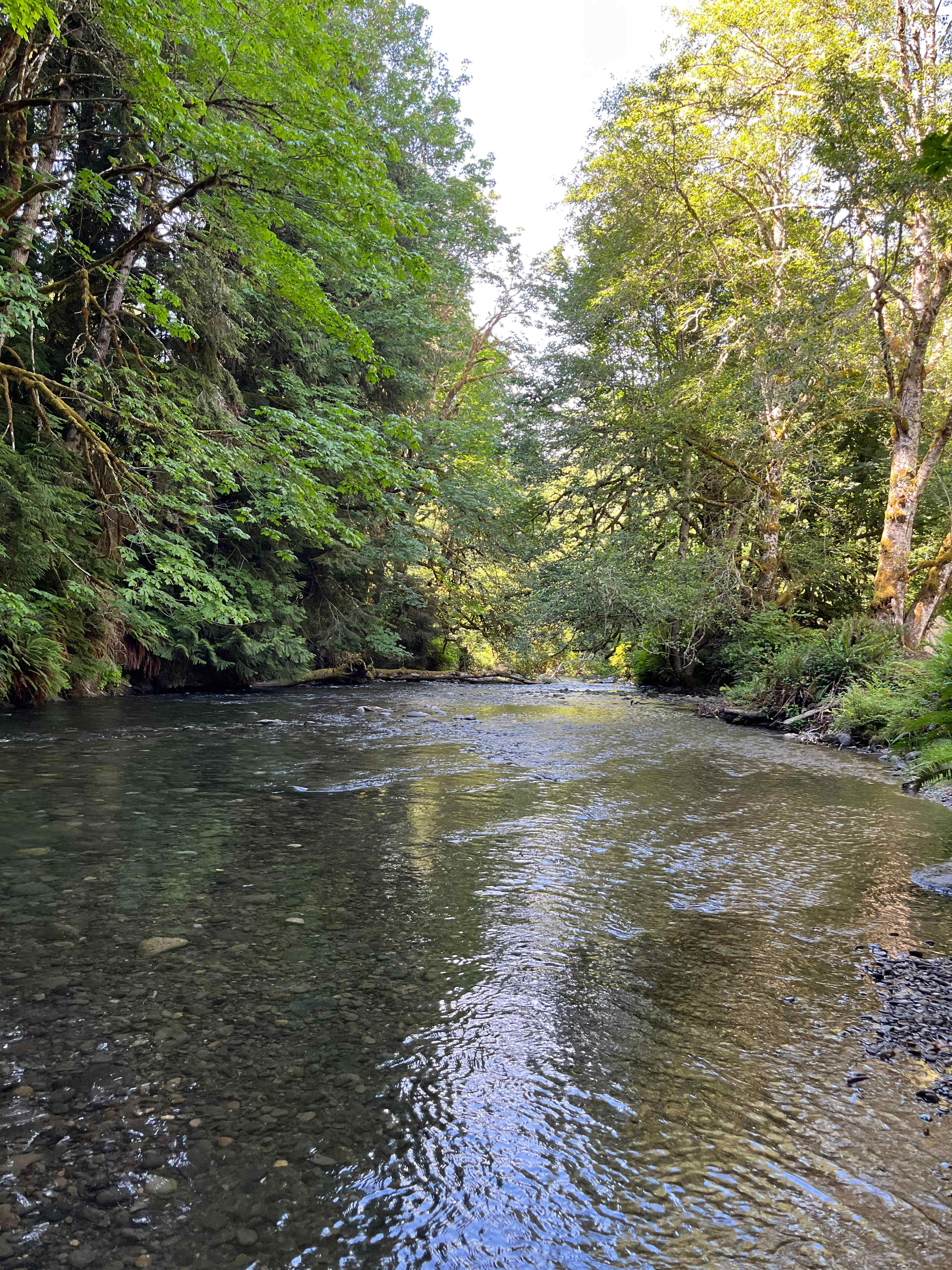 Lyre River Retreat