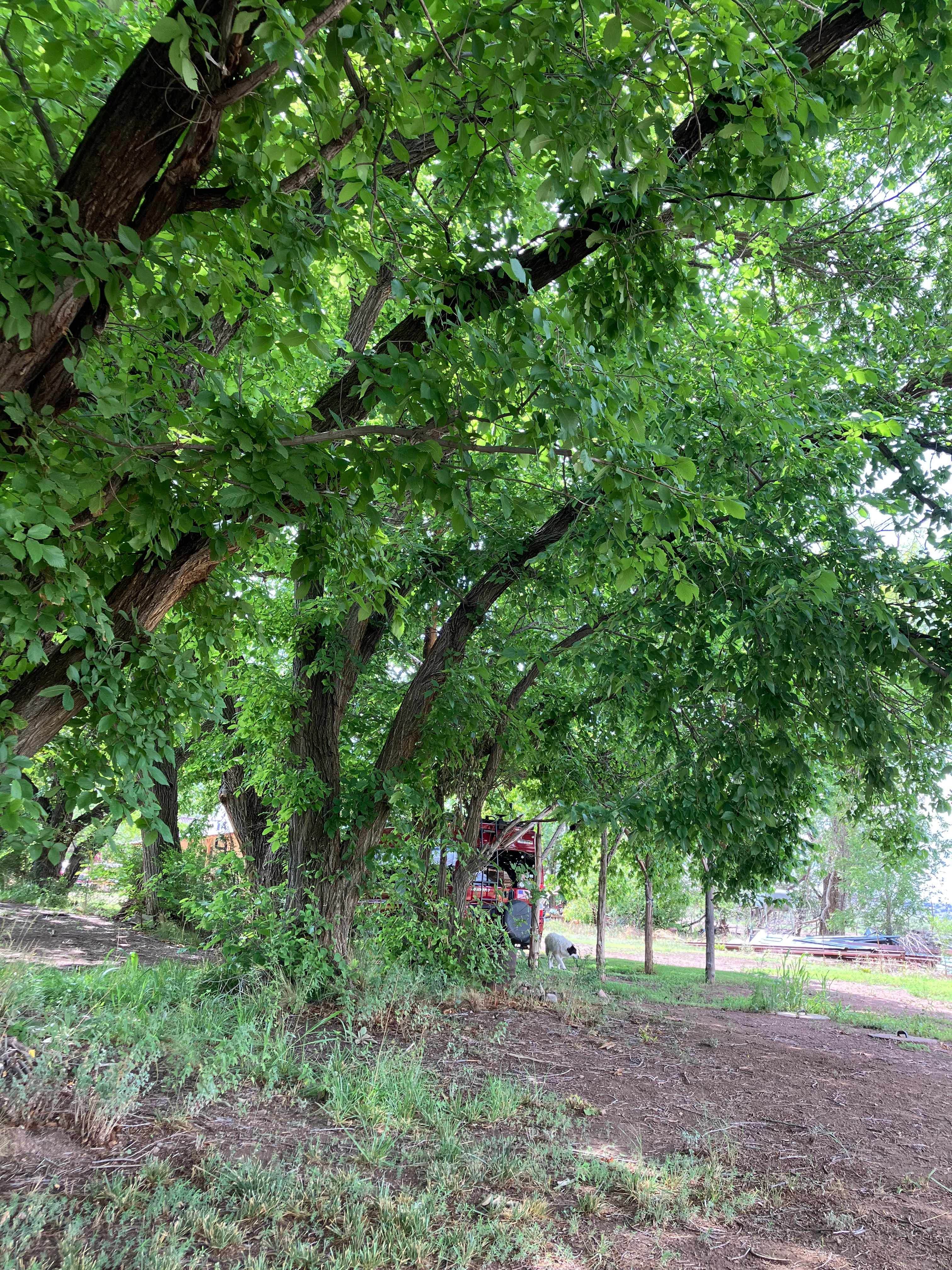 ESCAPE to the L.C. Ranch , Gila NM