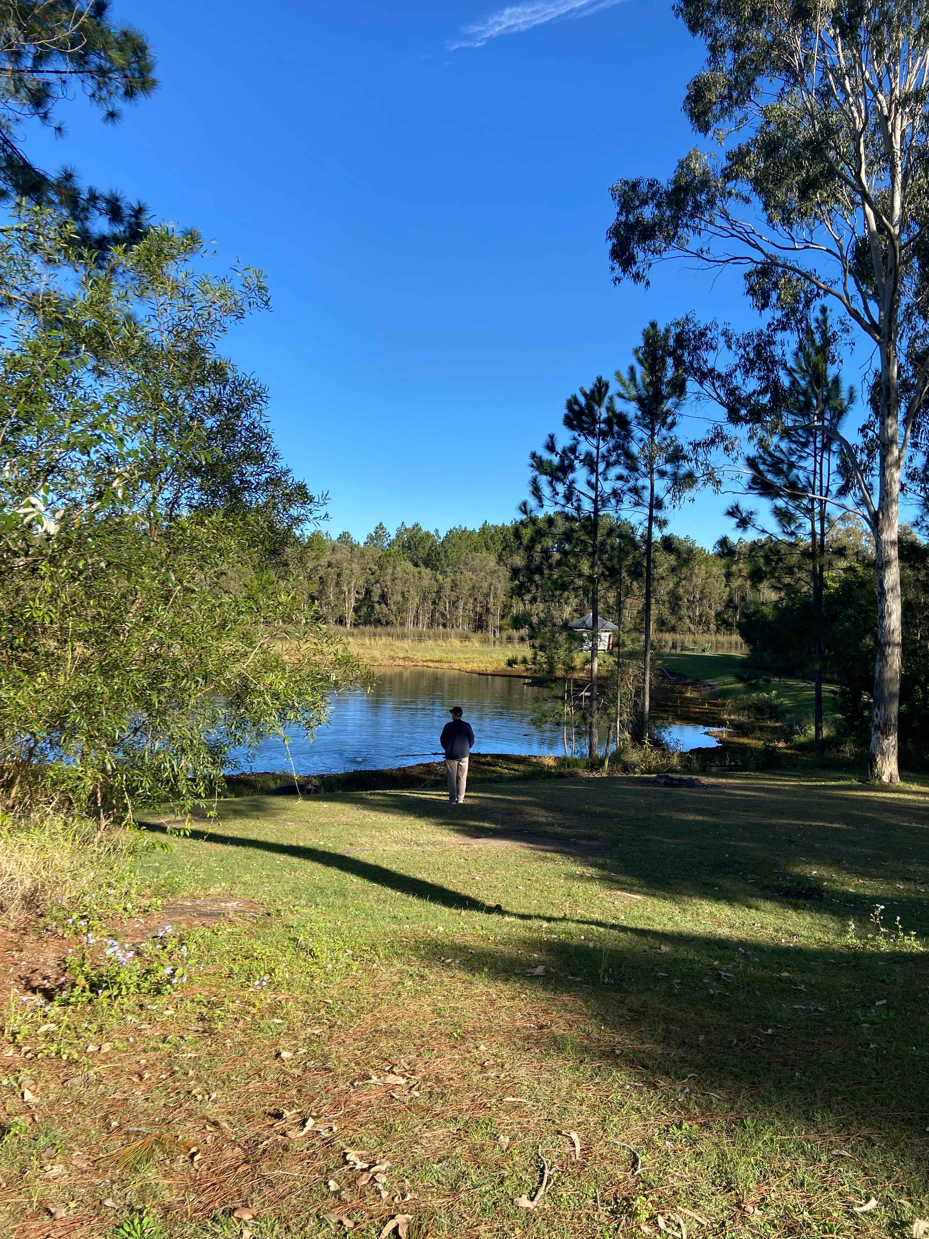 Bushywood at Woodfordskilake