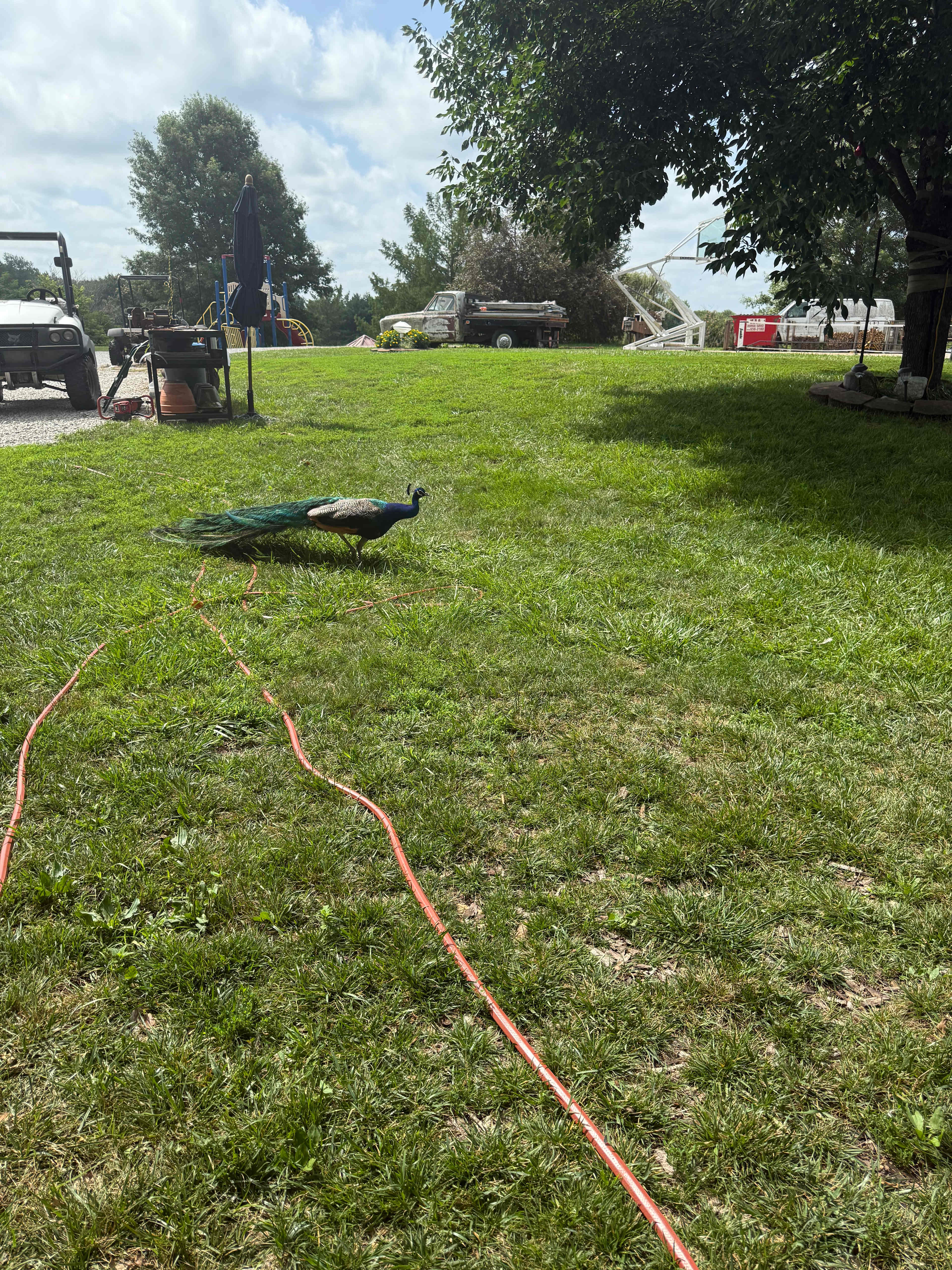 Harmony Lake Farm Park & Playground