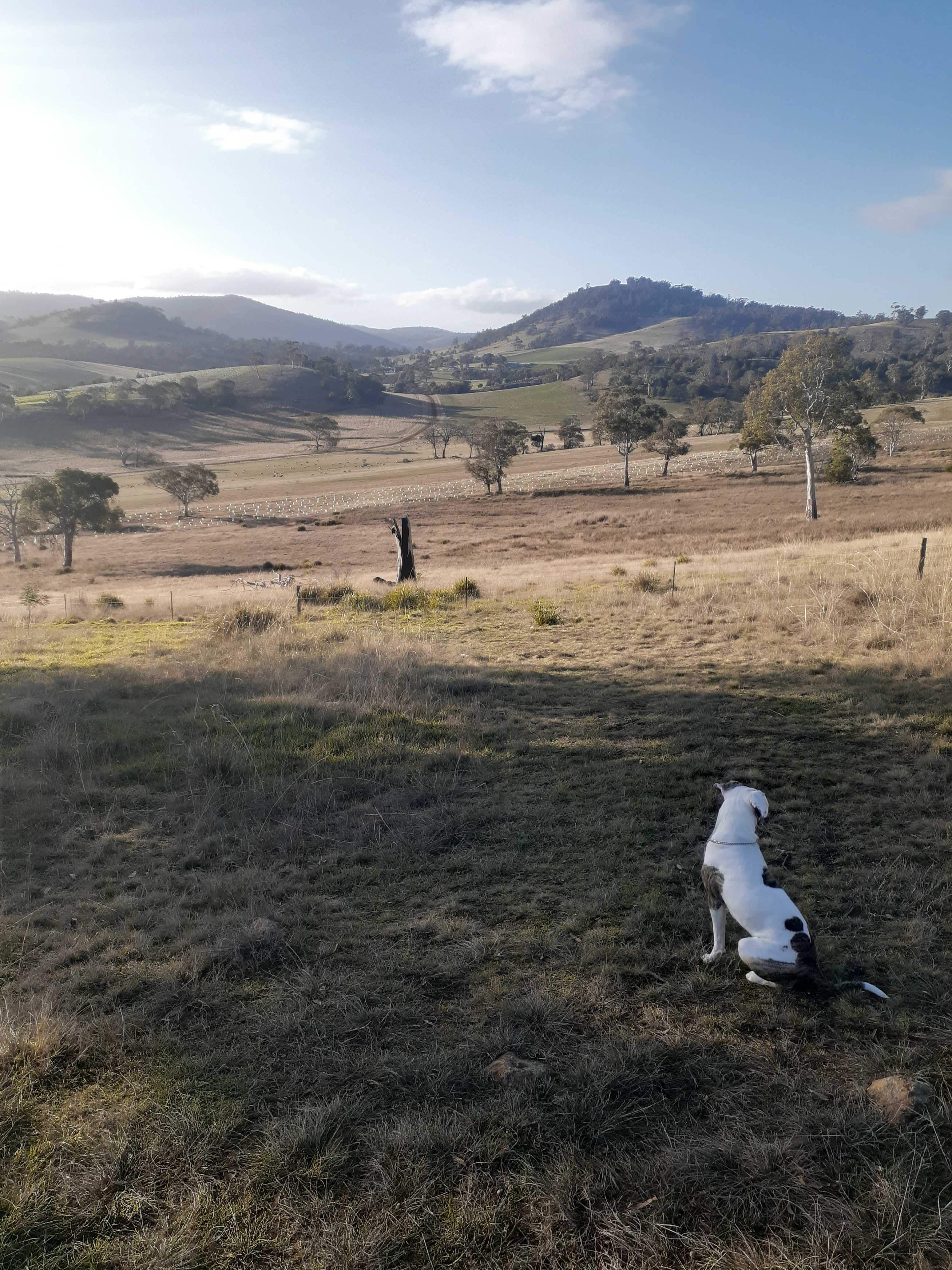 Prossers Ridge Richmond