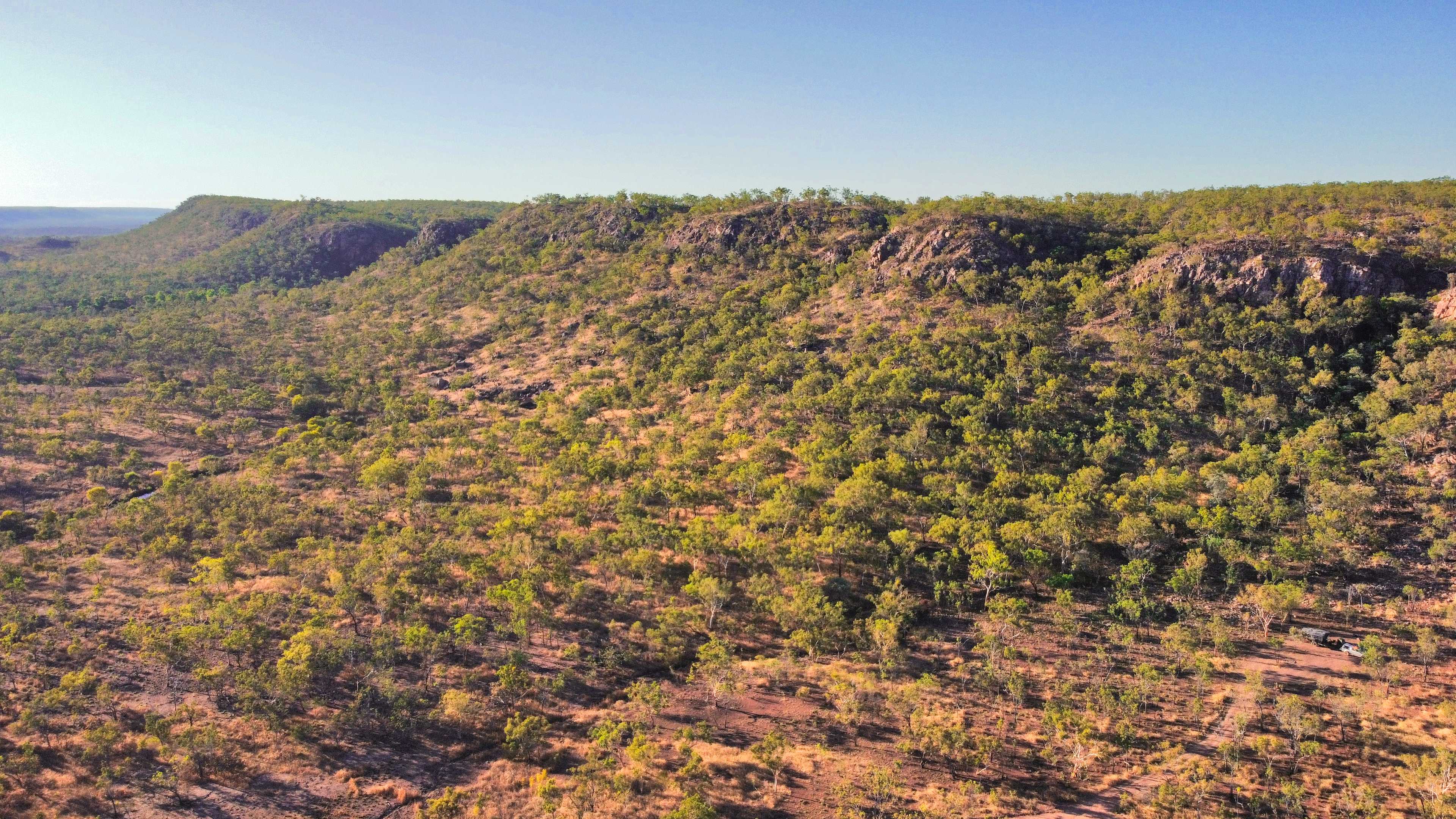 Site Curly Gum bottom right 