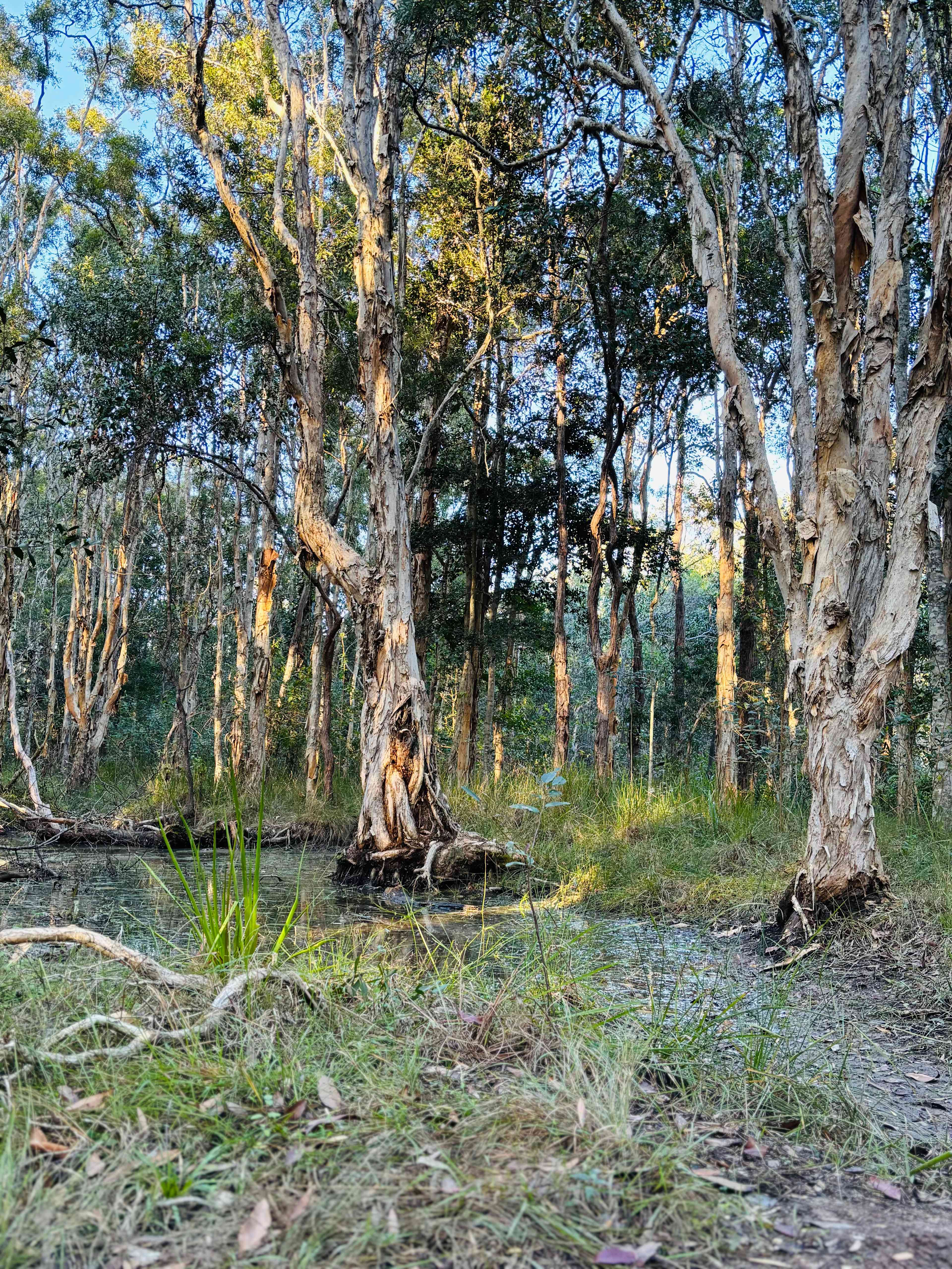 TerraLyra Sanctuary Retreat