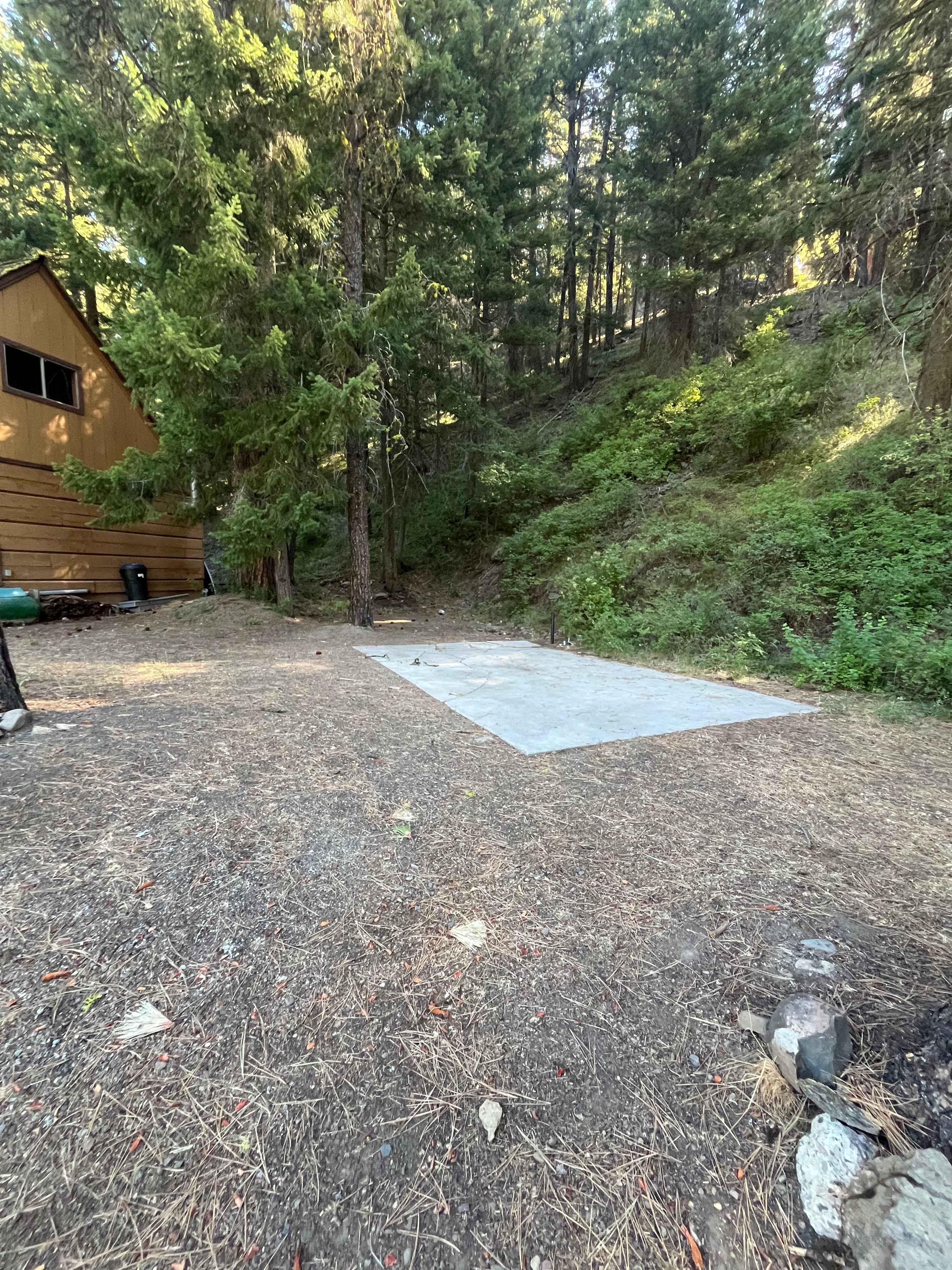 Picture of the site