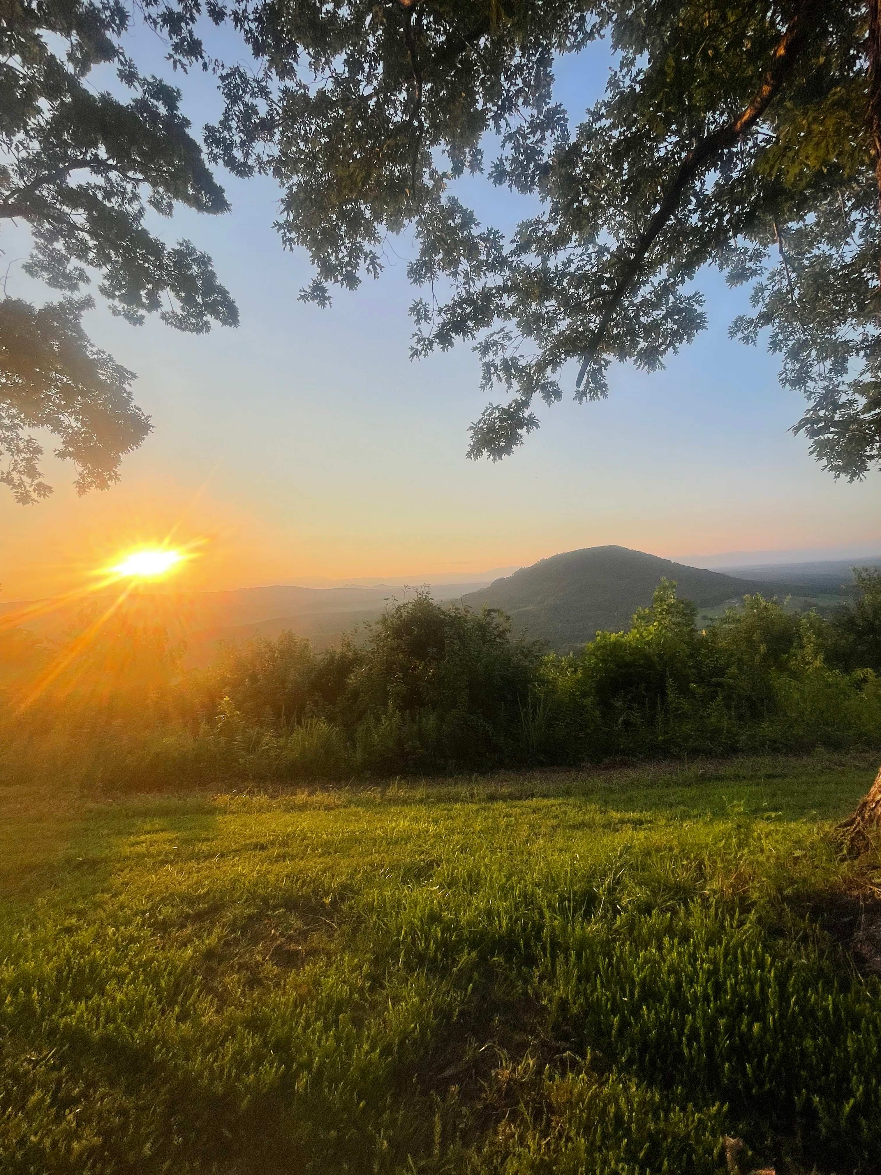 Bolin Knob Meadows