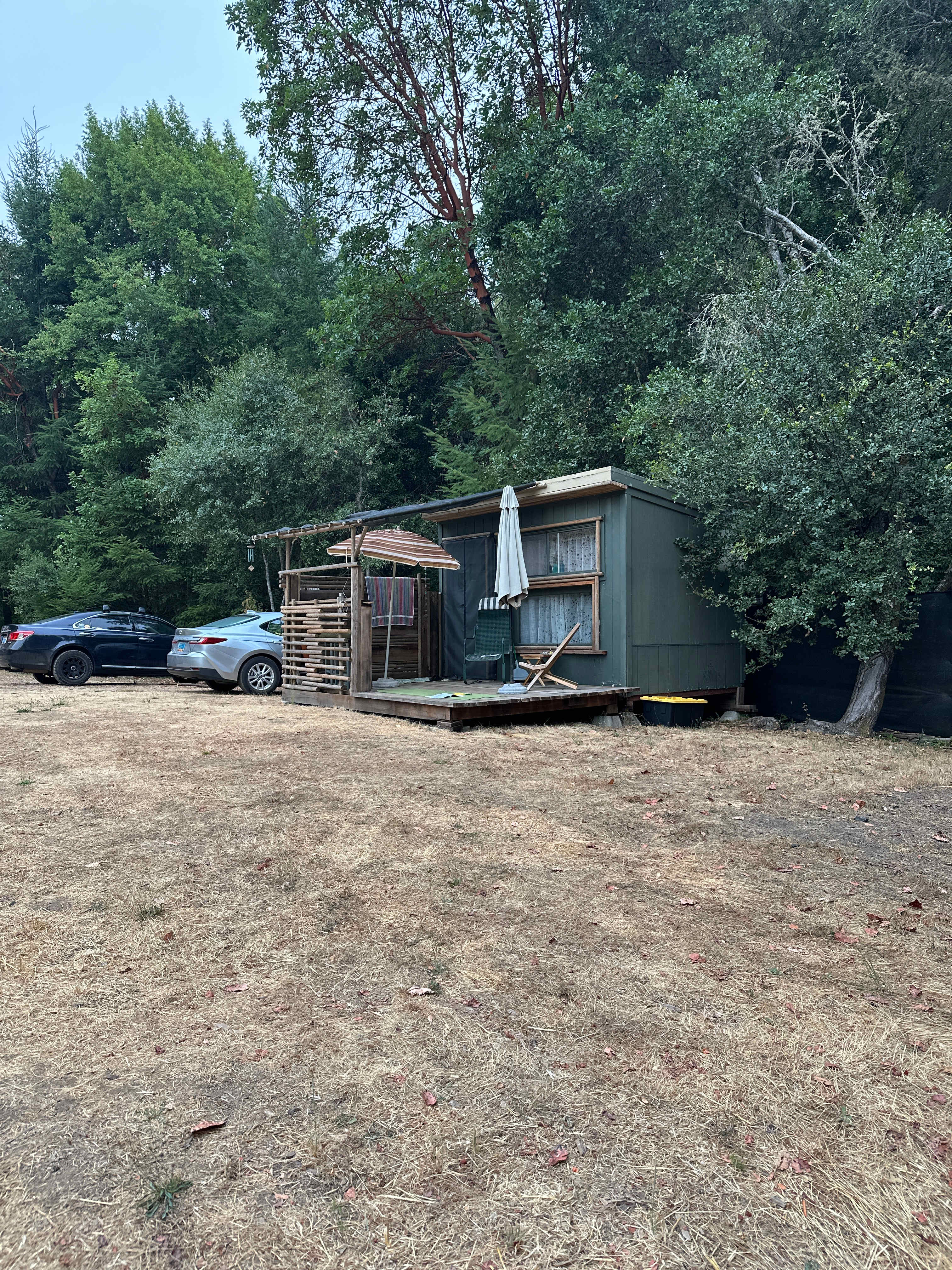 Tiny cabin 