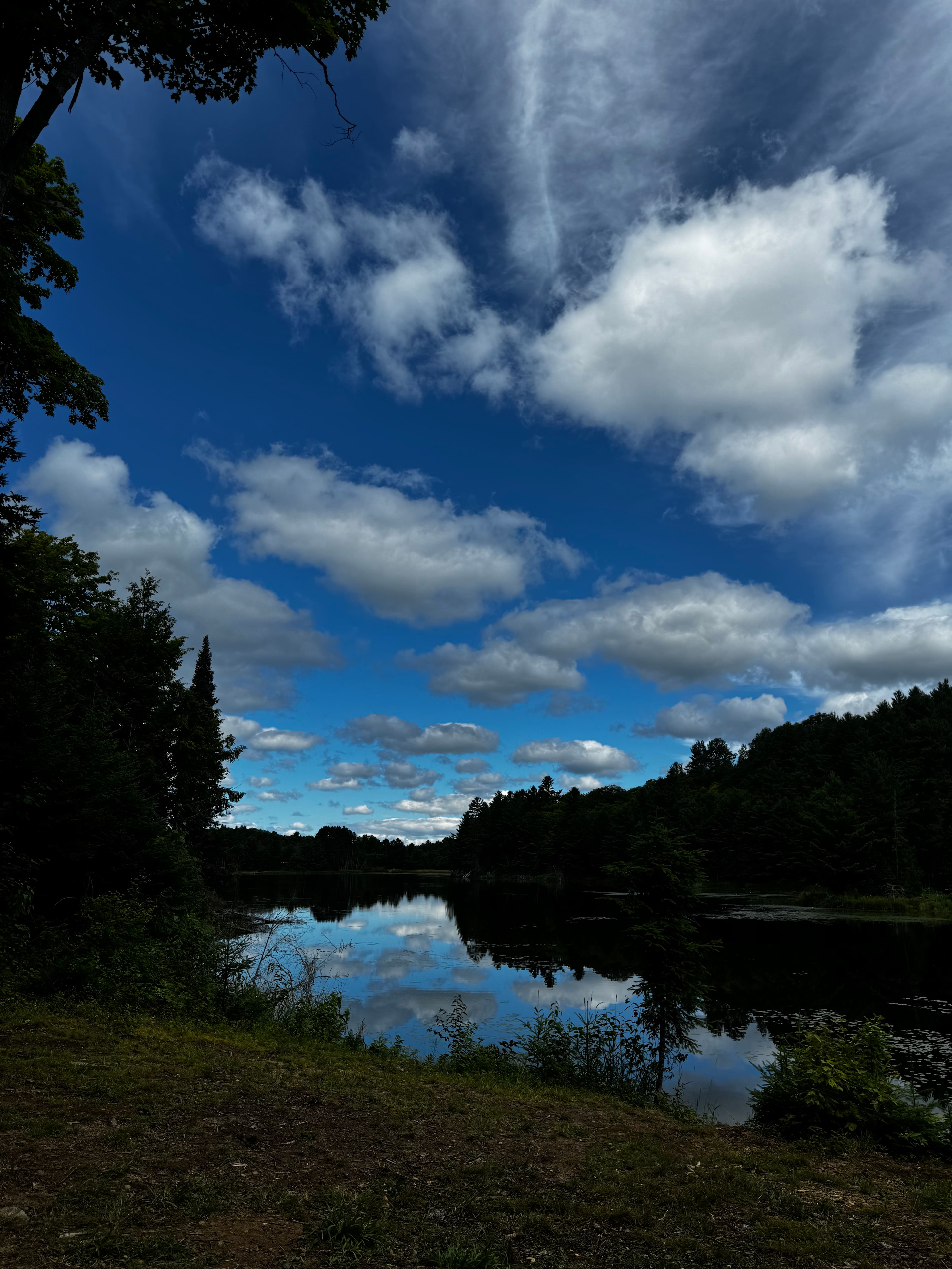 Ball Lake Tent Camping