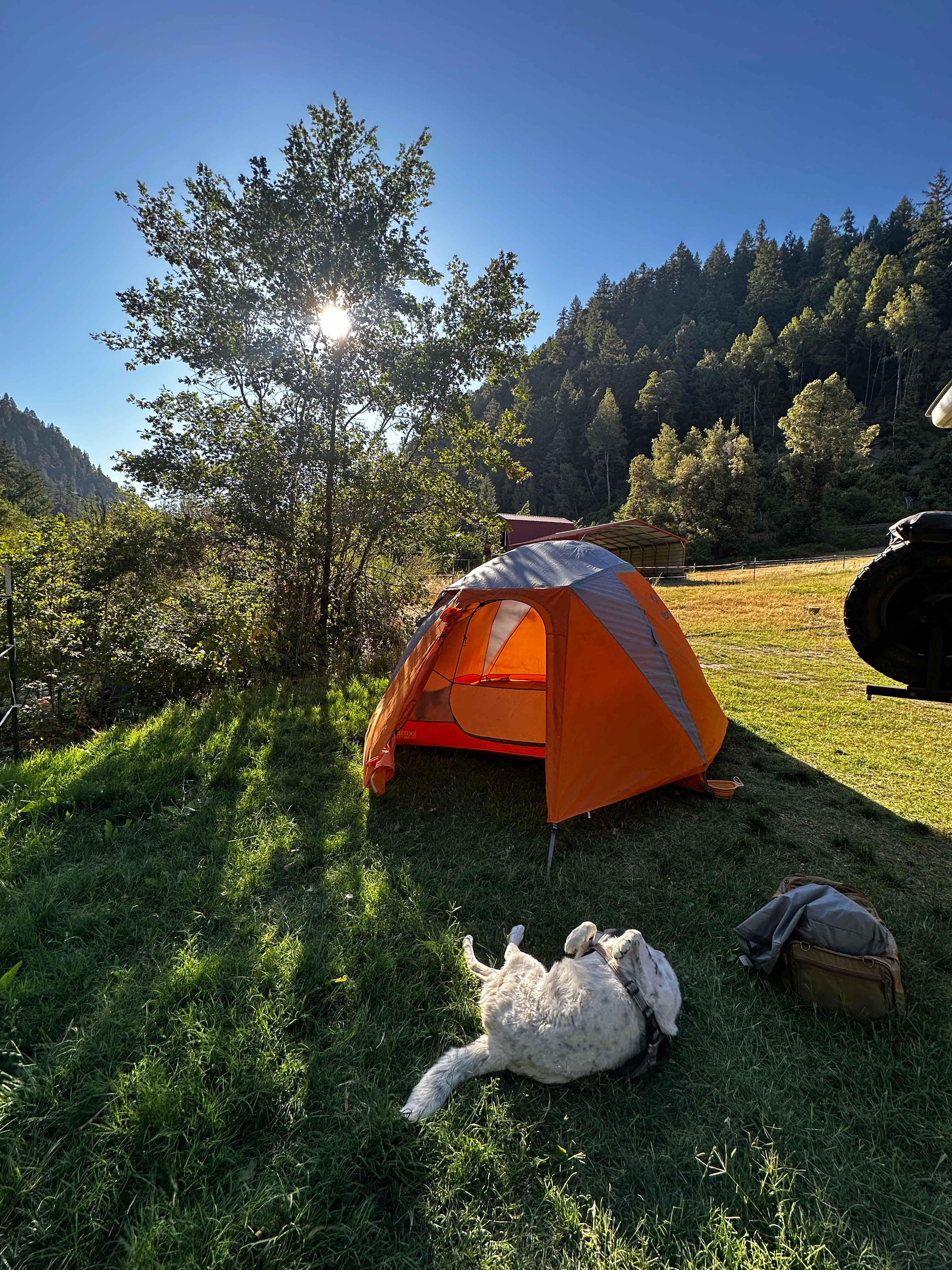 Camp spot 