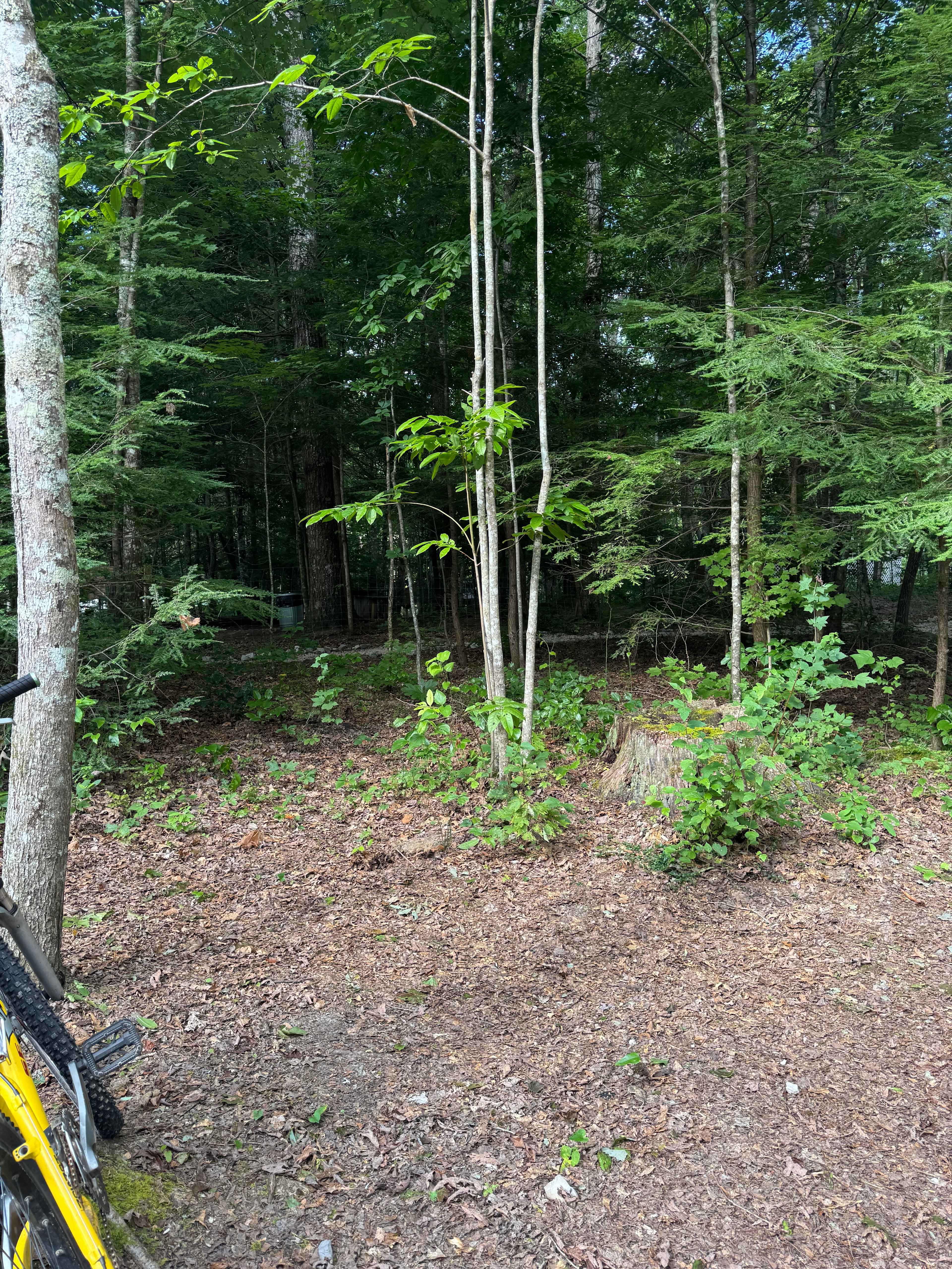 Greeter Falls Campground
