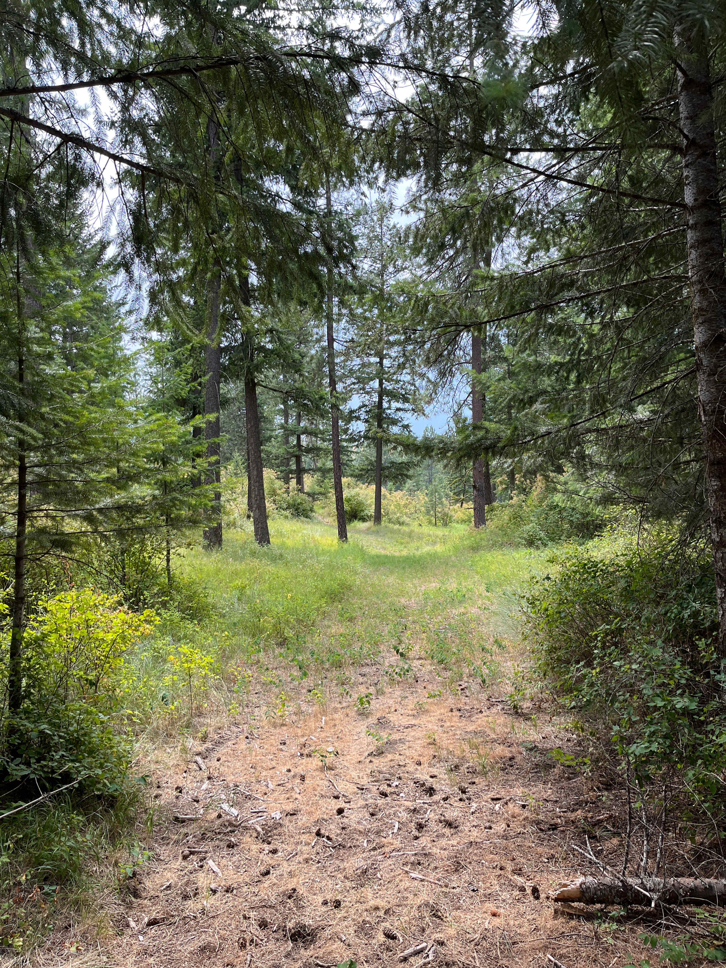 Bergsparken RV Park